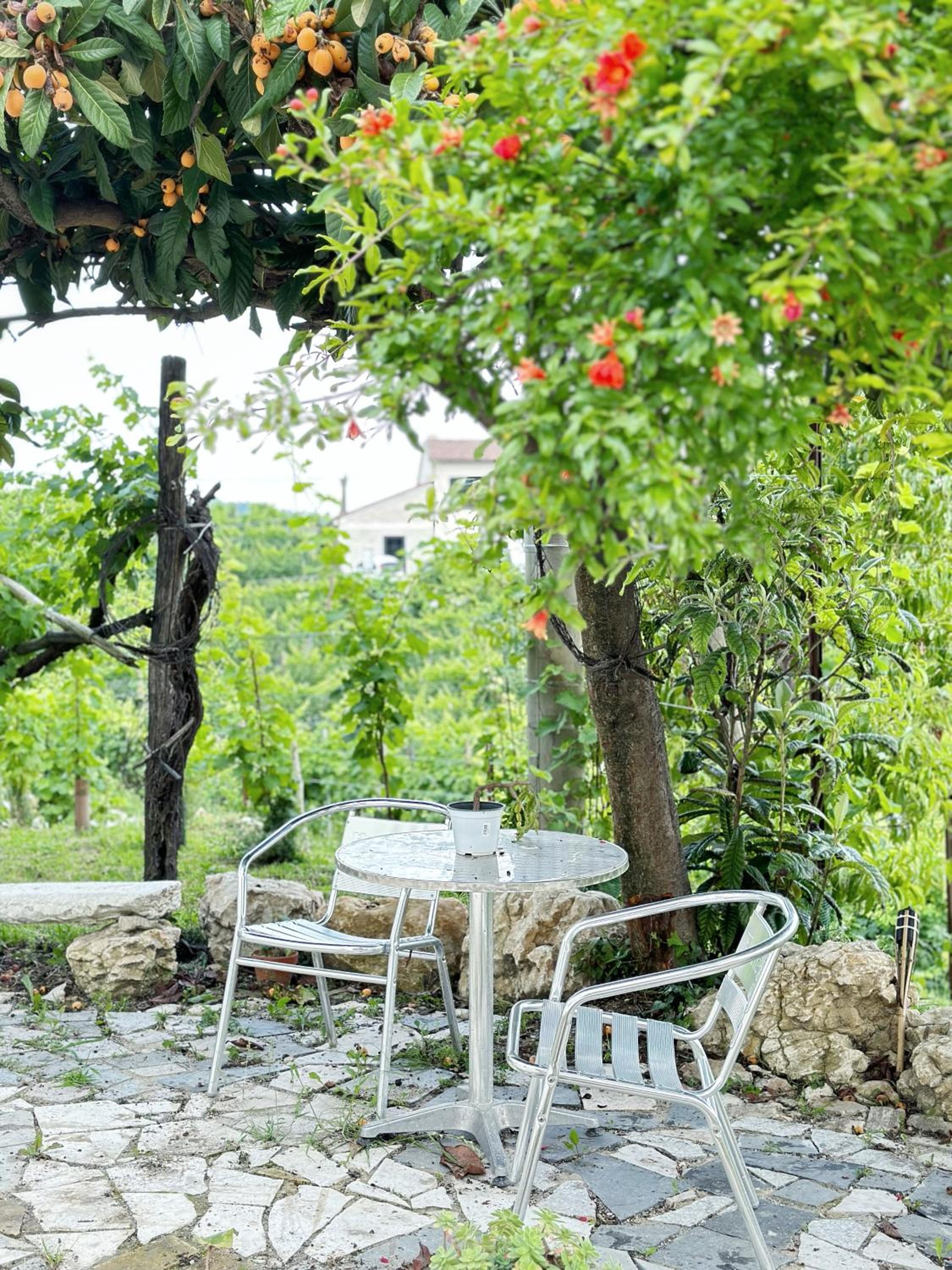 Valdobbiadene - free parking - Colline Prosecco
