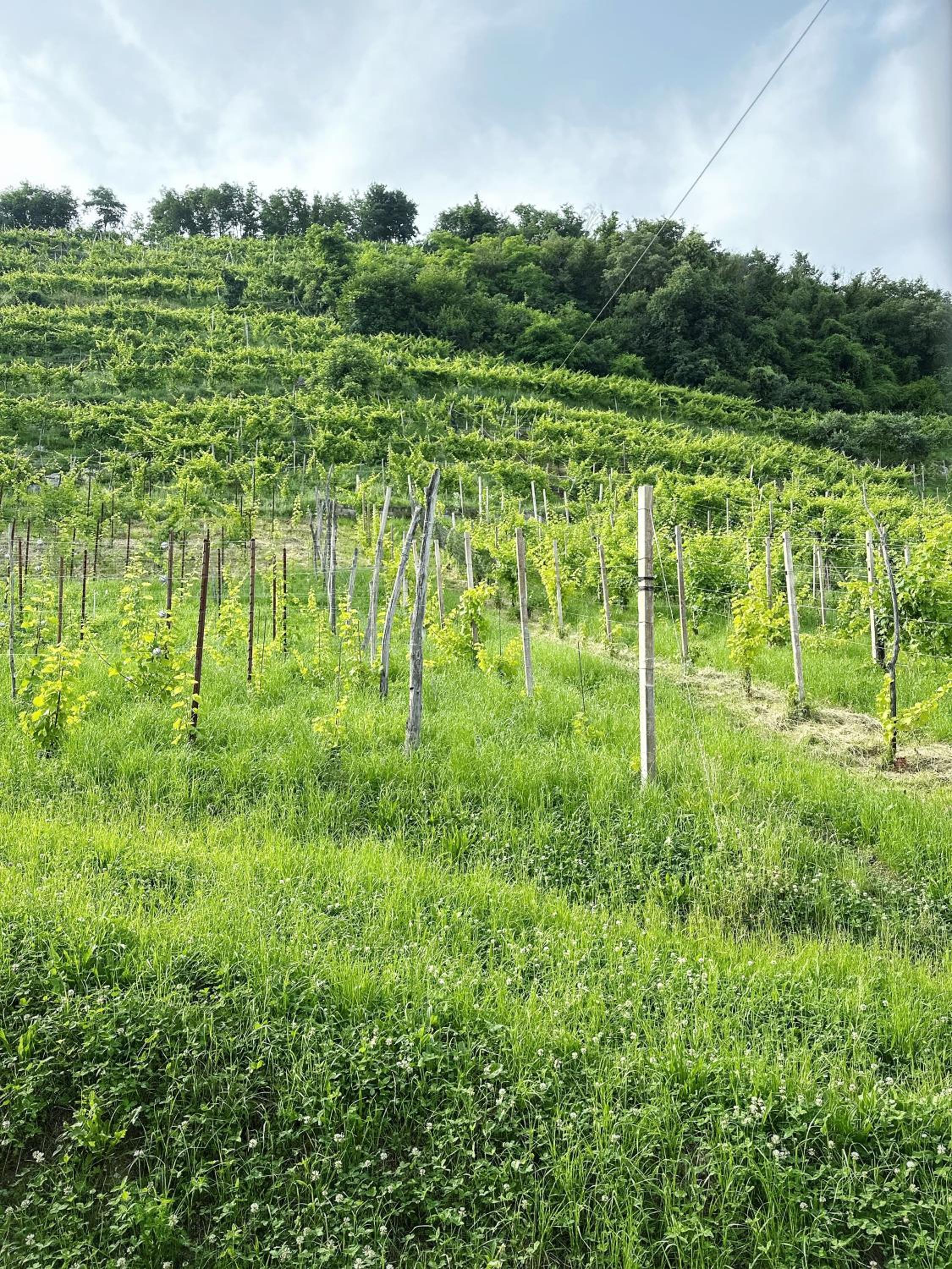 Valdobbiadene - free parking - Colline Prosecco