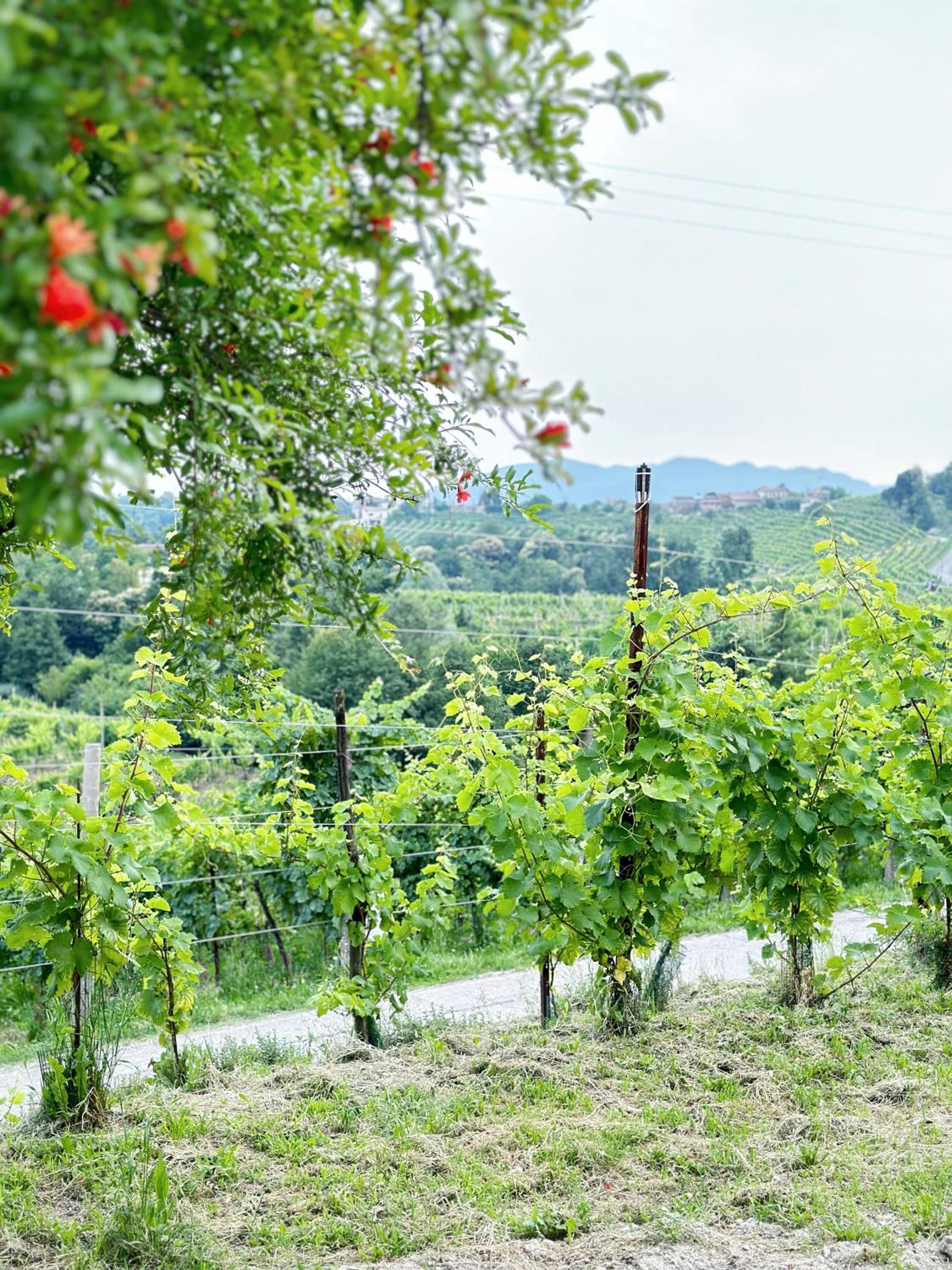 Valdobbiadene - free parking - Colline Prosecco
