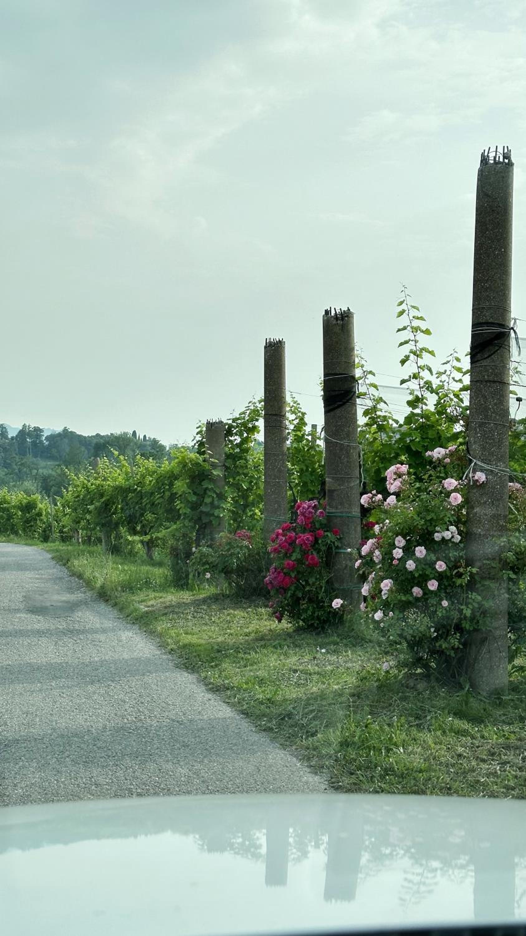 Valdobbiadene - free parking - Colline Prosecco