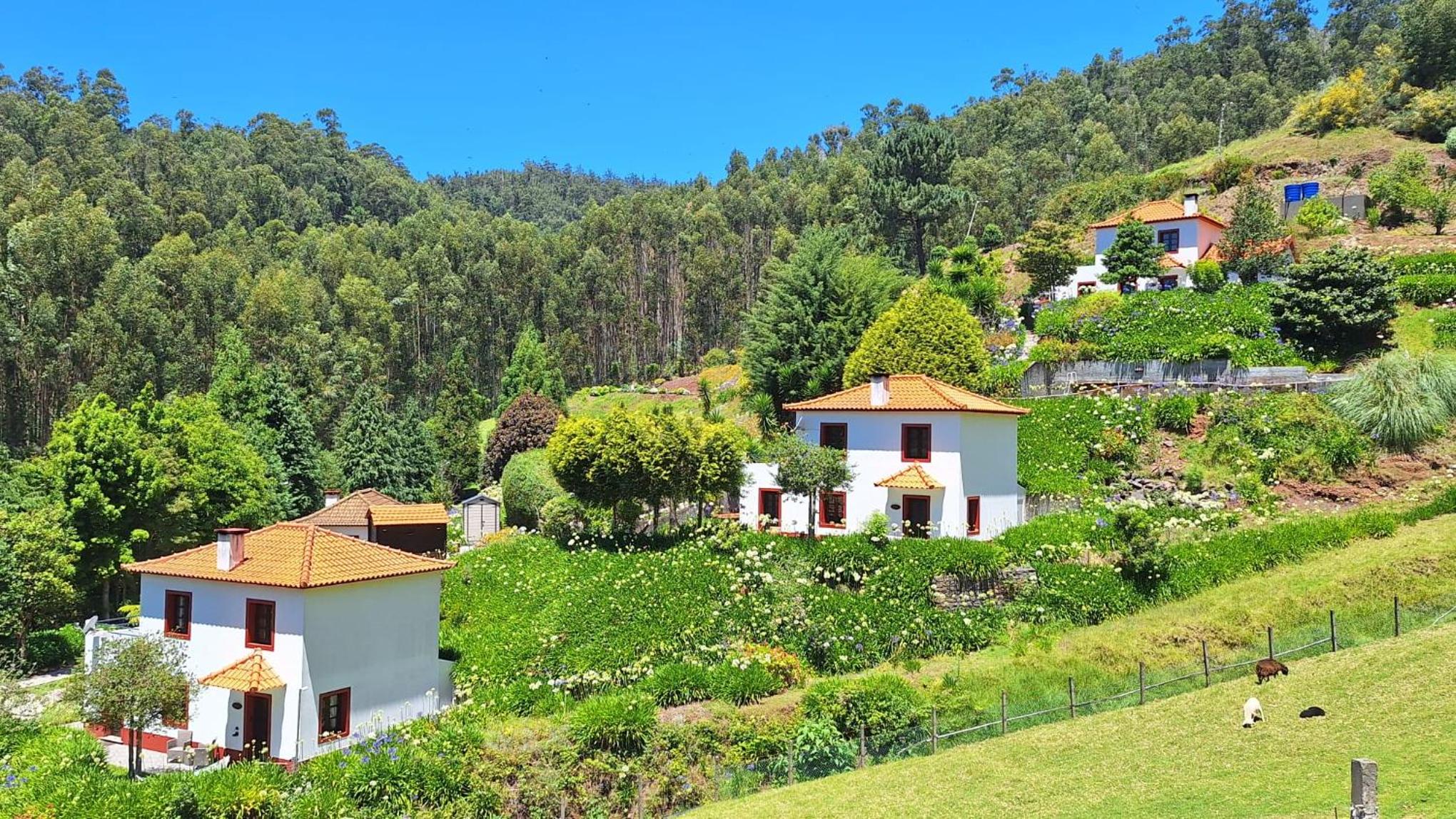 Cantinho Rural