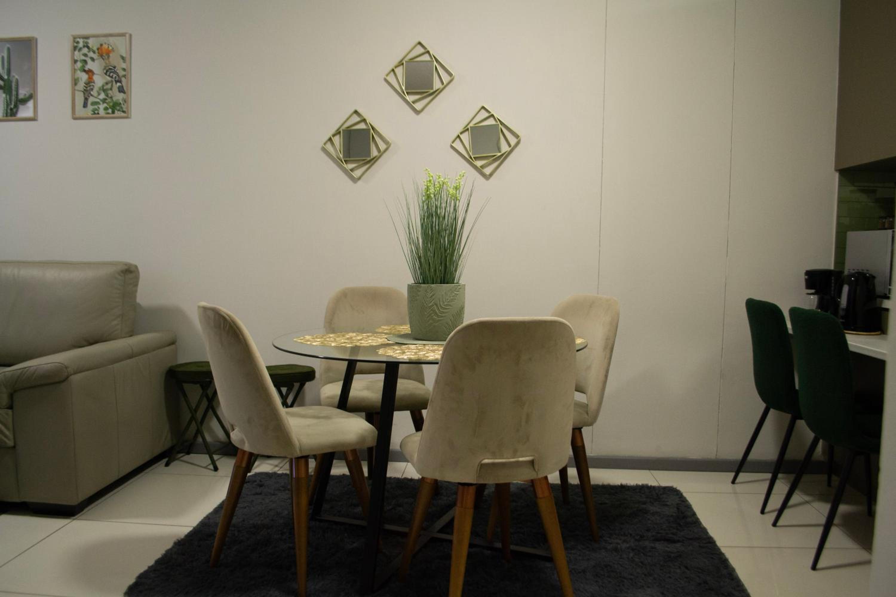Shomer Merensky Apartment view 5