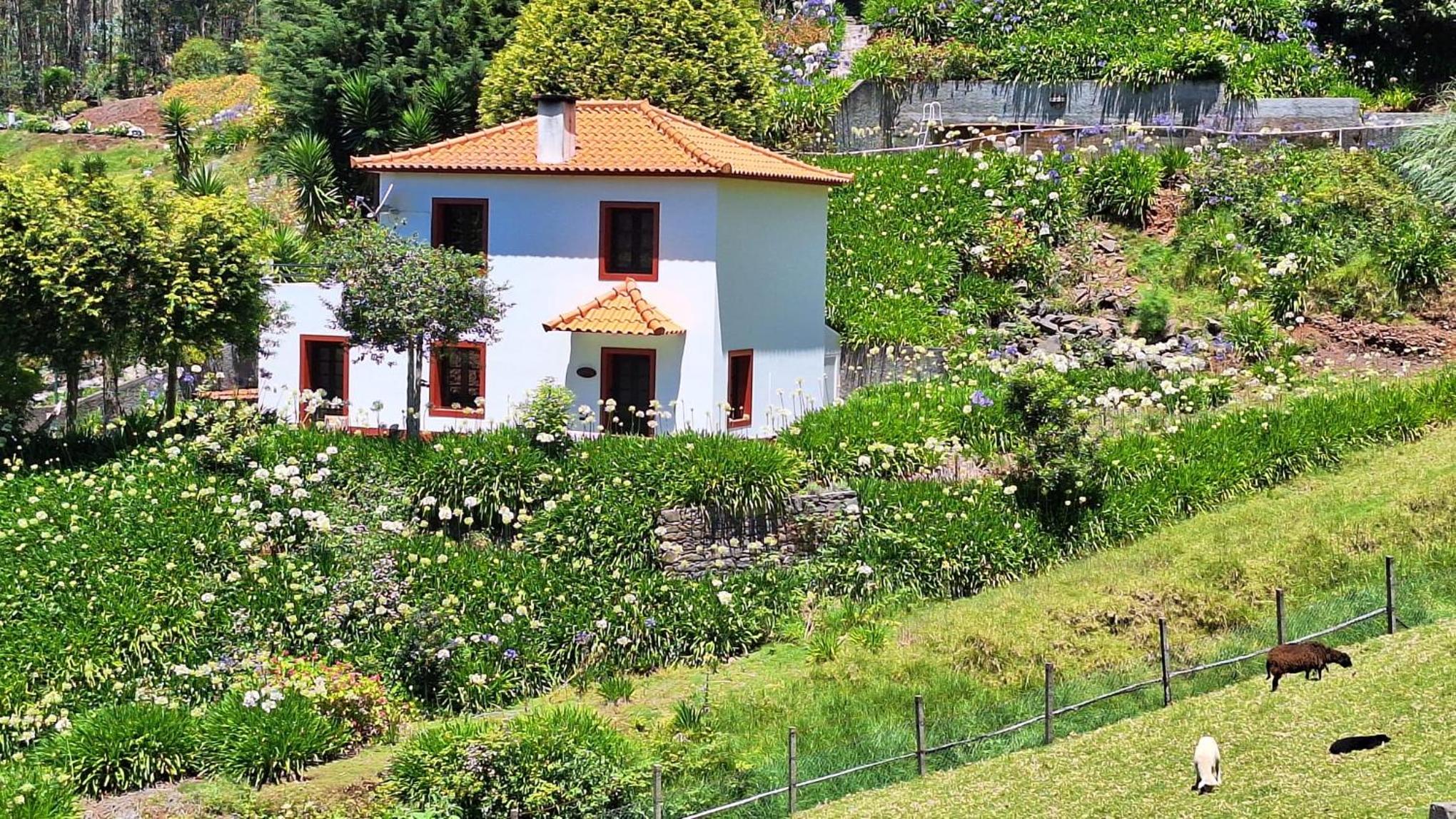 Cantinho Rural