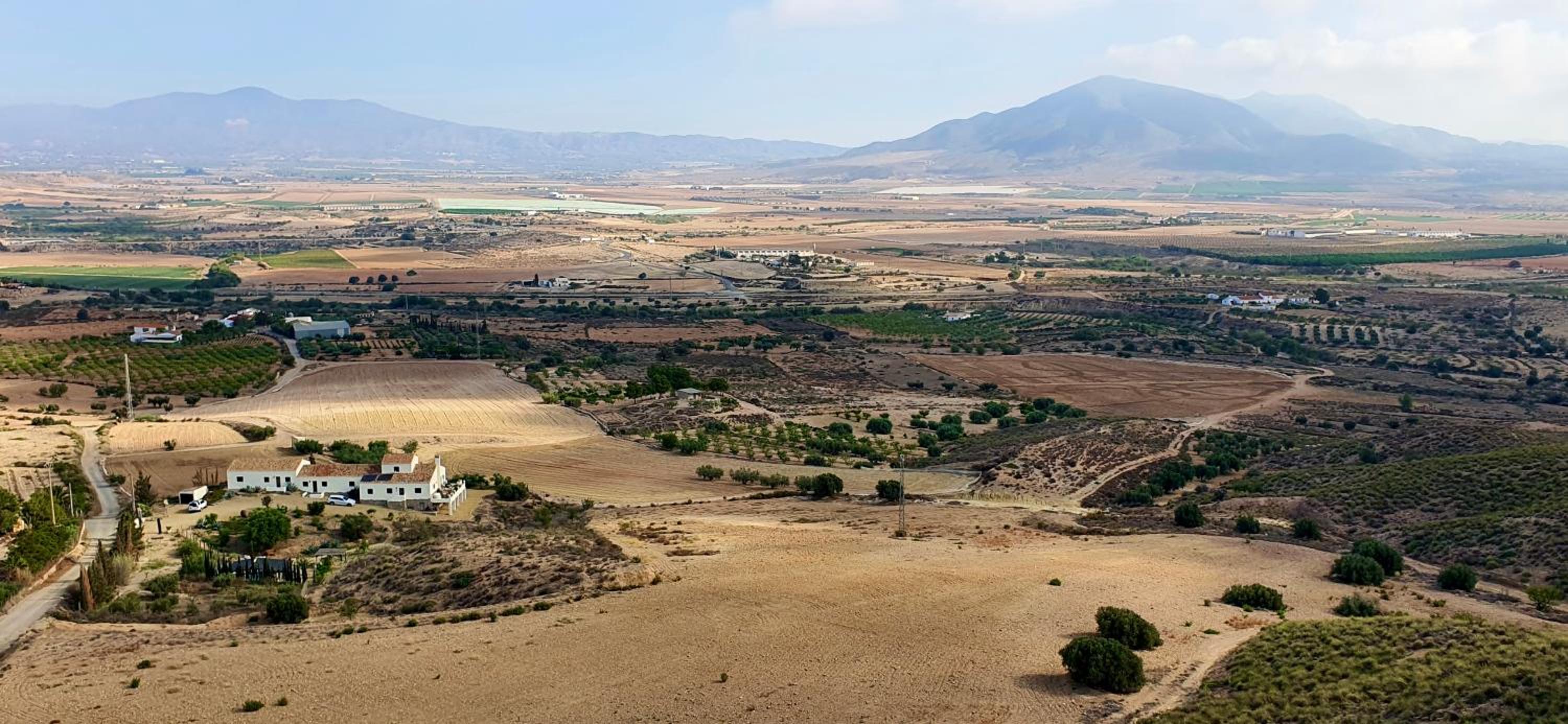 MiLuna Oasis Suites