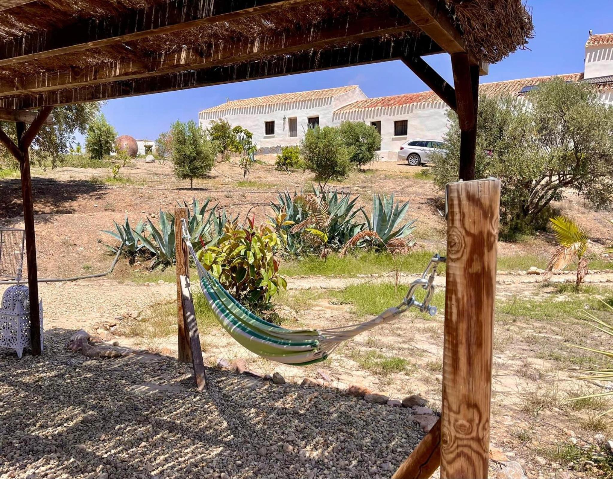MiLuna Oasis Suites