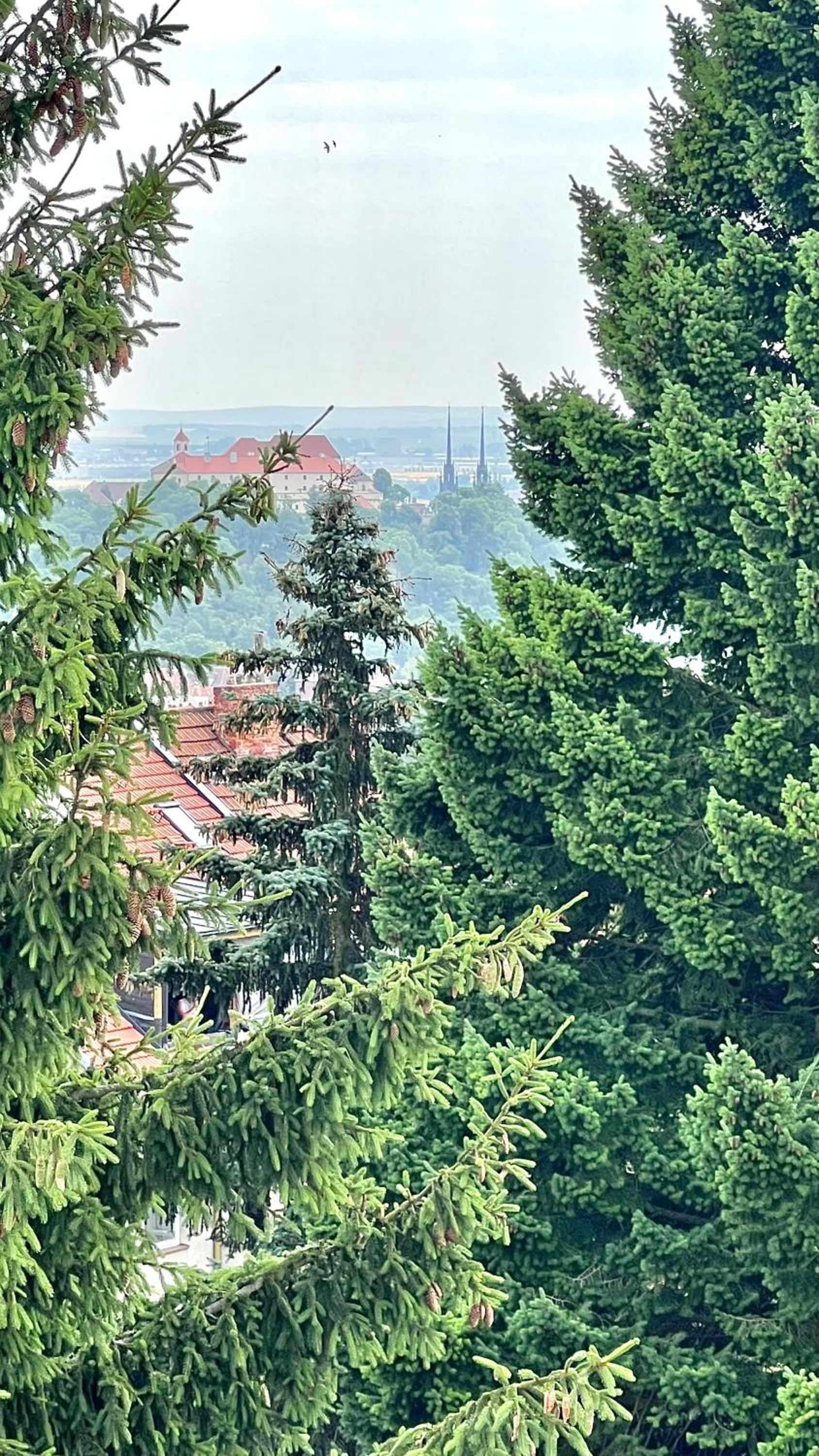 Apartmán se saunou a terasou s výhledem na Brno