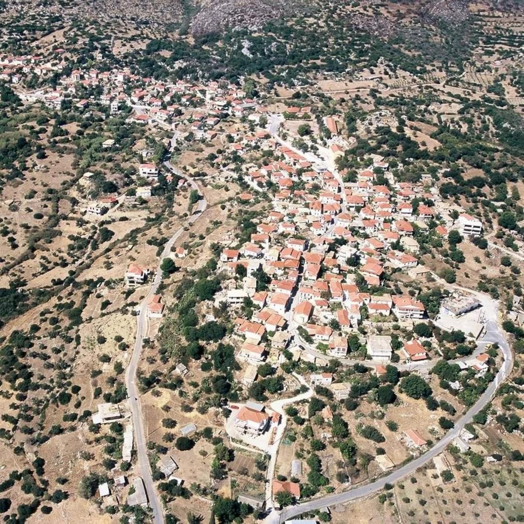 Sofias Studio