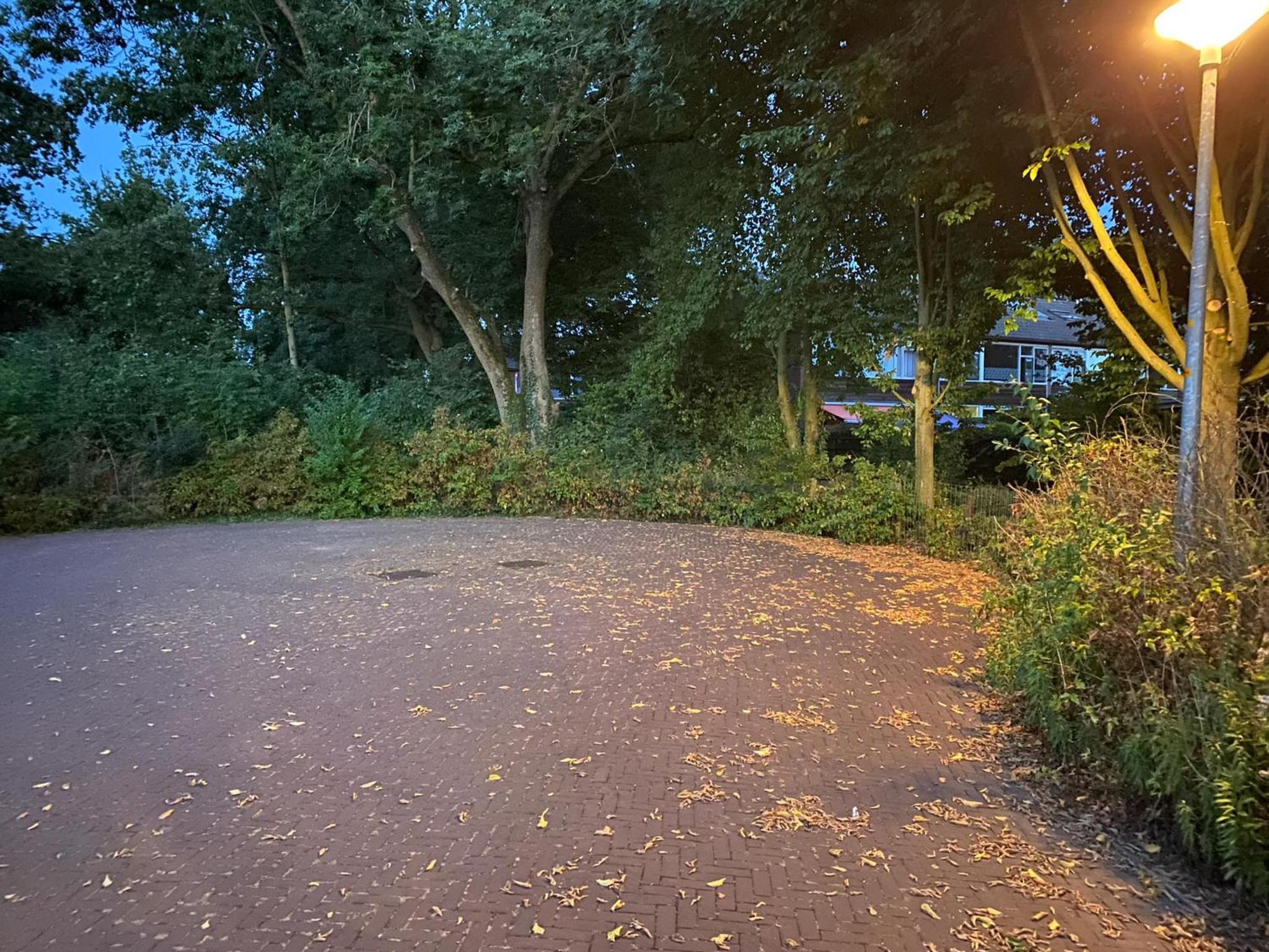 La Nuova Casa del Campo (vh De Kamp) - Property Image 62