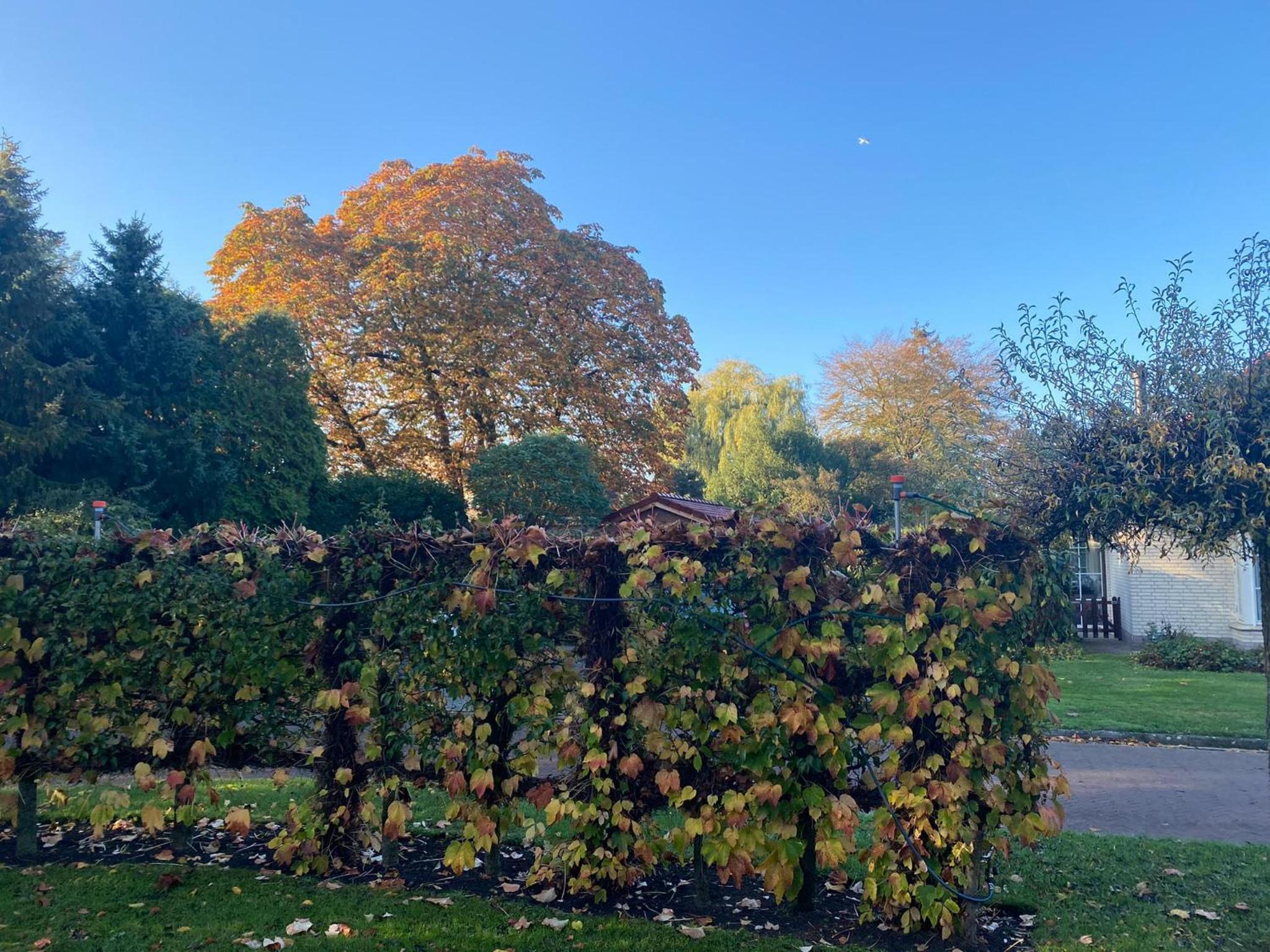 La Nuova Casa del Campo (vh De Kamp) - Property Image 52