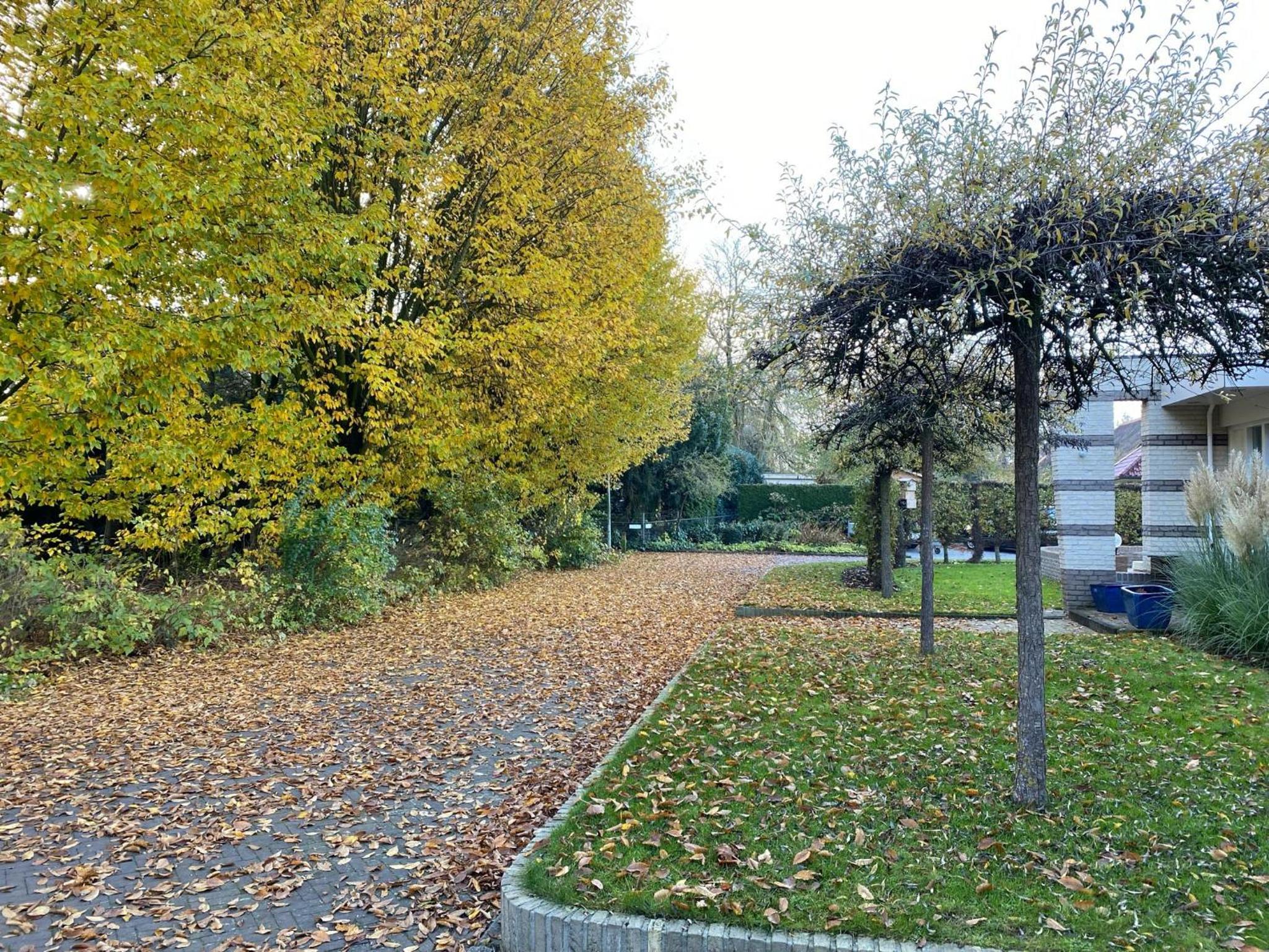 La Nuova Casa del Campo (vh De Kamp) - Property Image 59