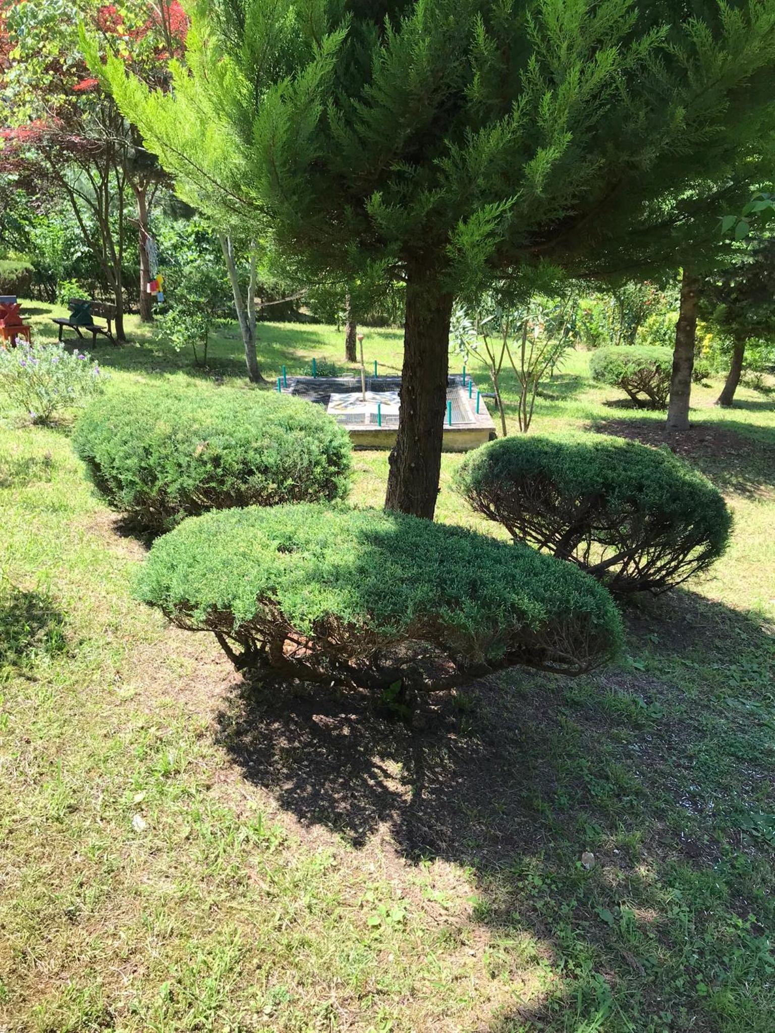 Photo 21