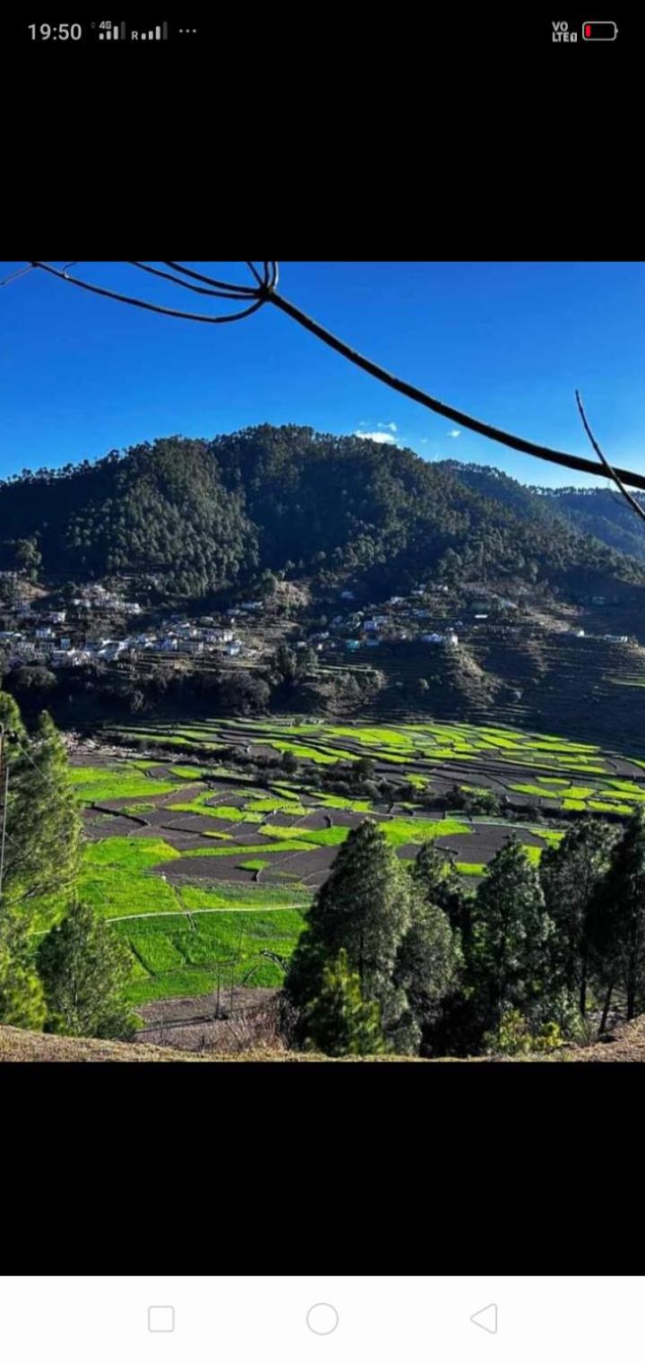 Hotel kumaon palace deghat view 3