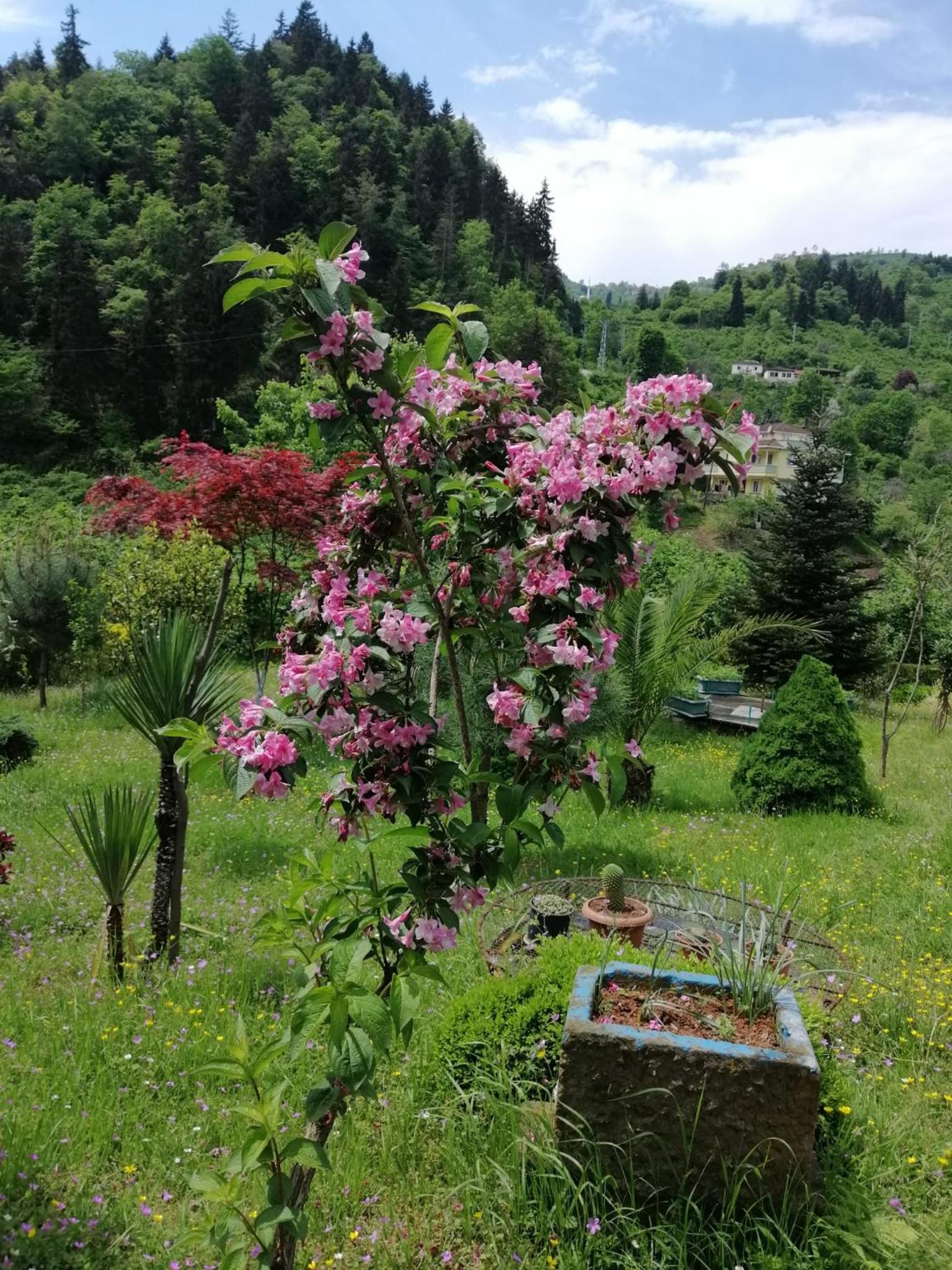 Photo 25