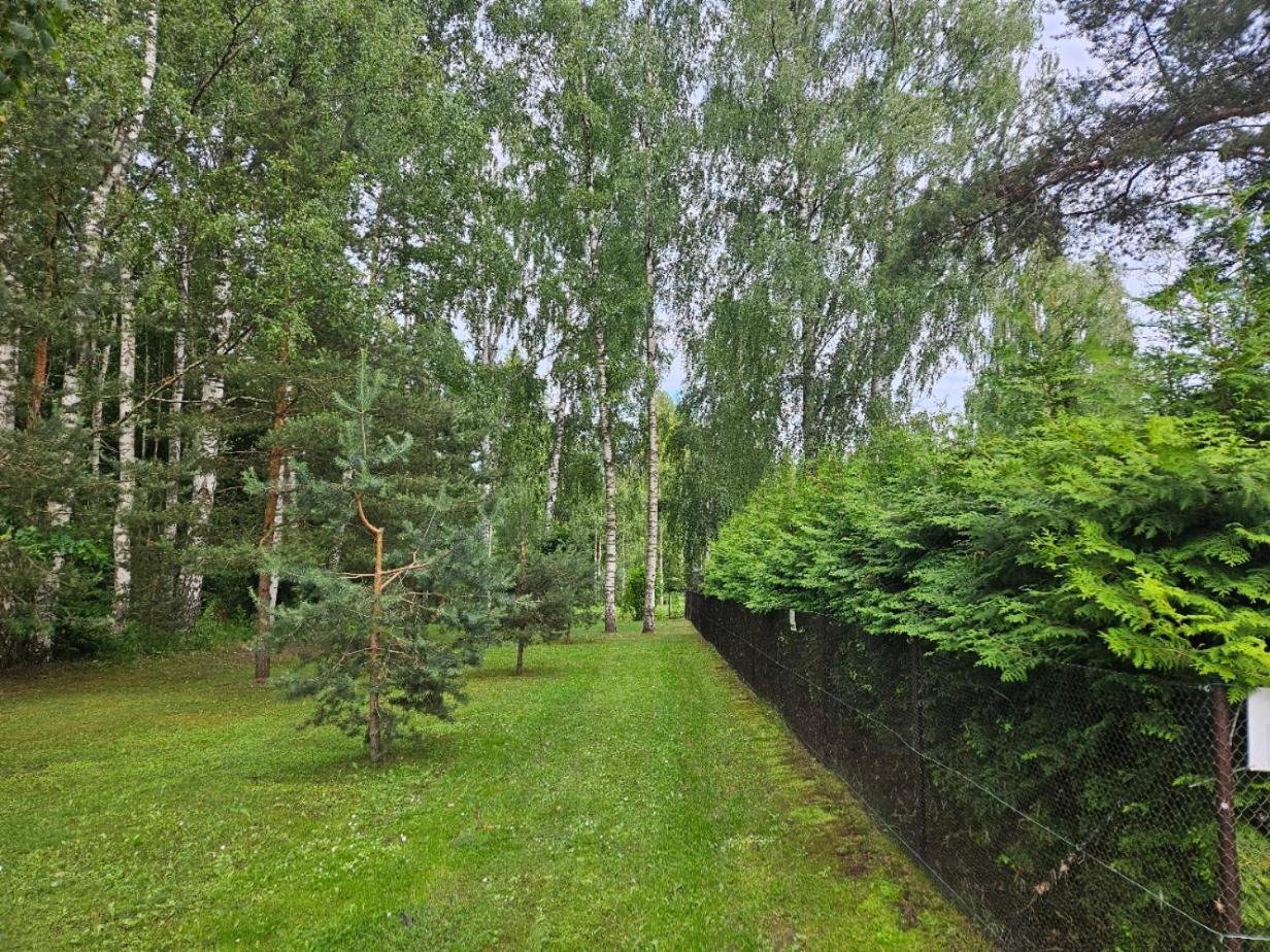 Purde Camp Cabin