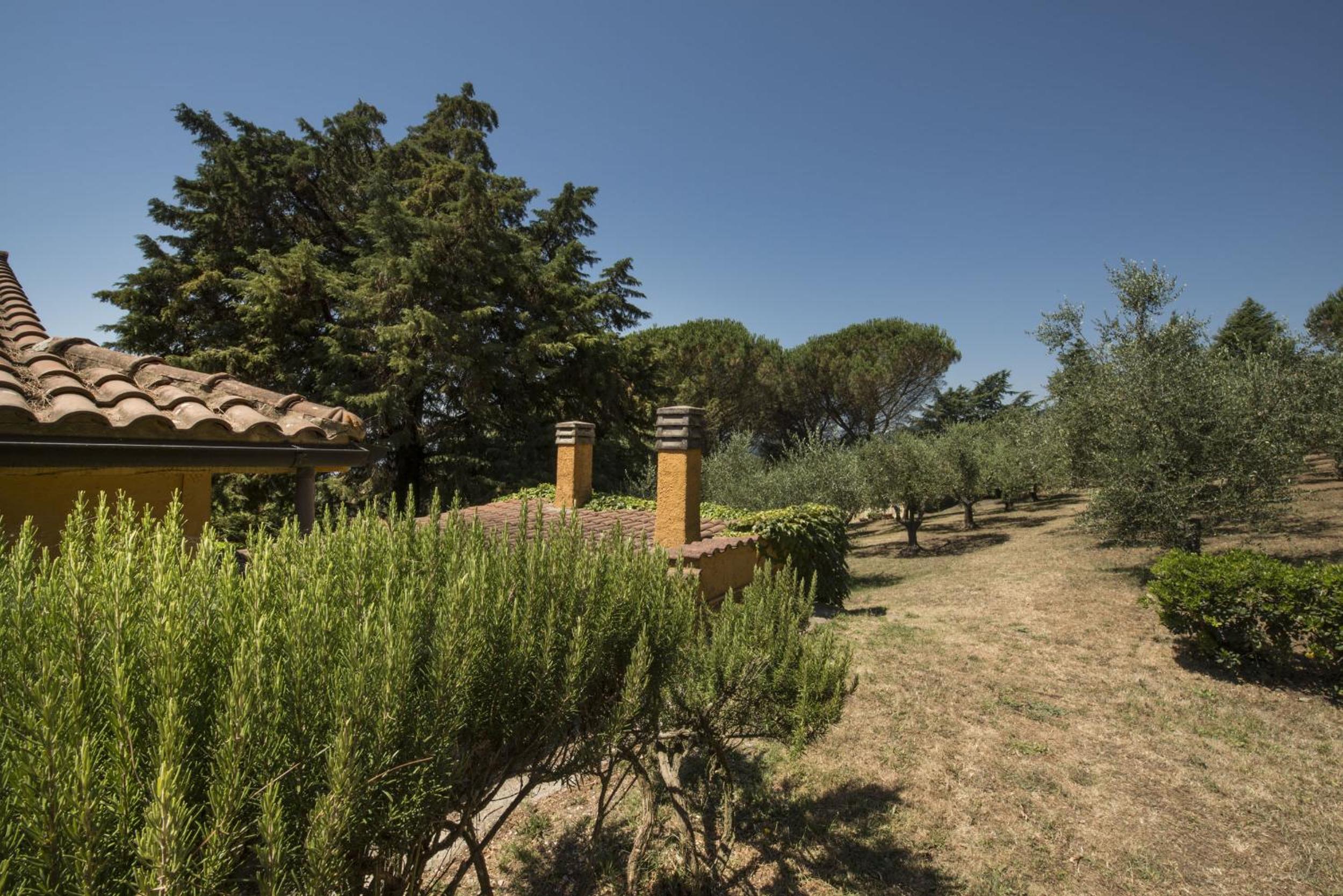 Villa Calandrina