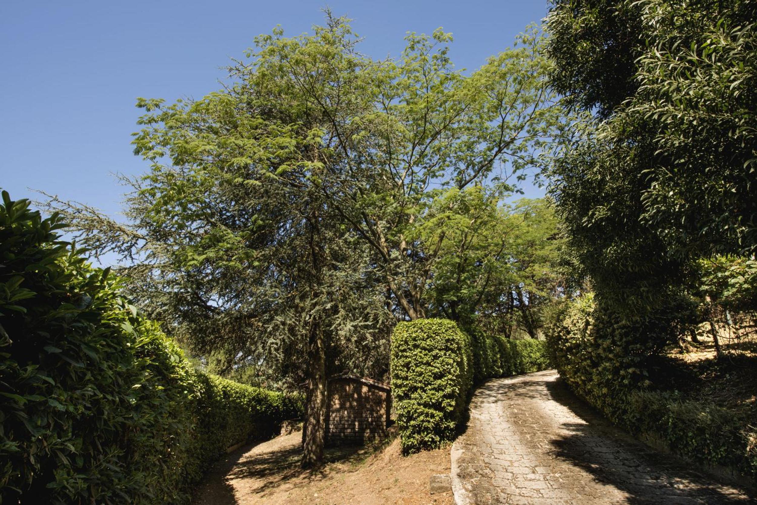 Villa Calandrina