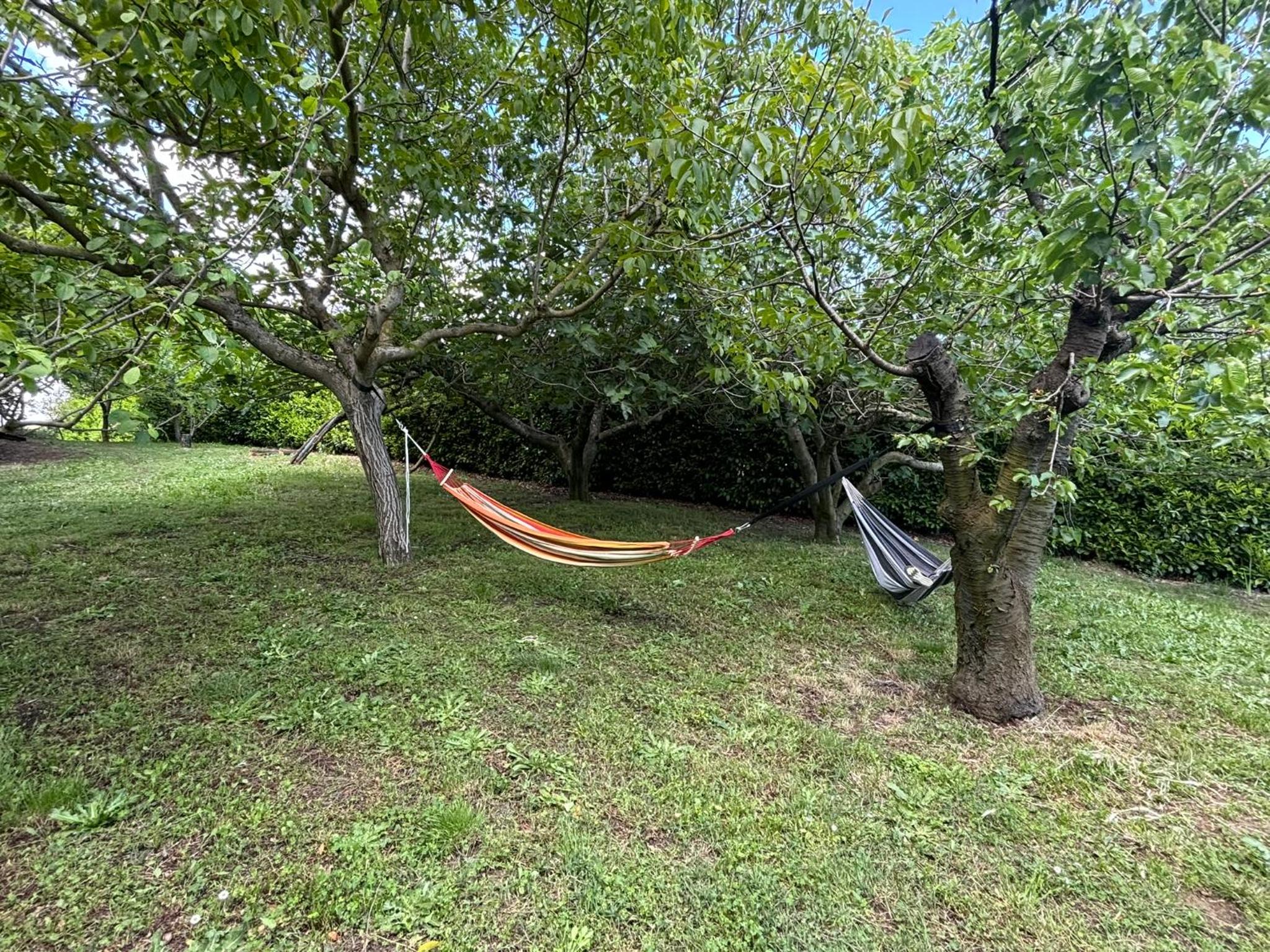 Villa Calandrina