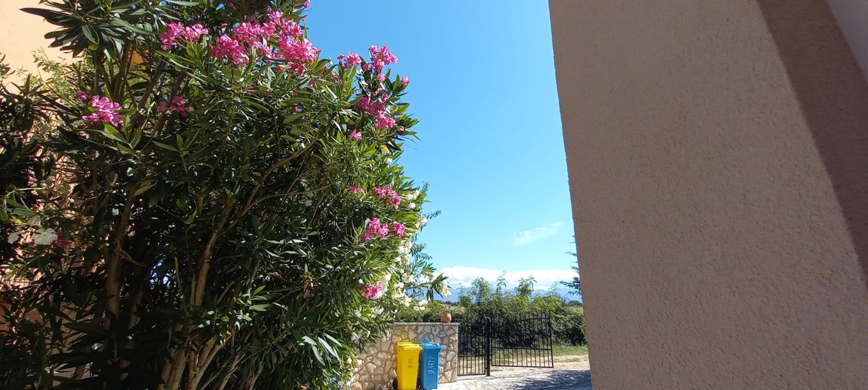 APARTMA Nina view 3
