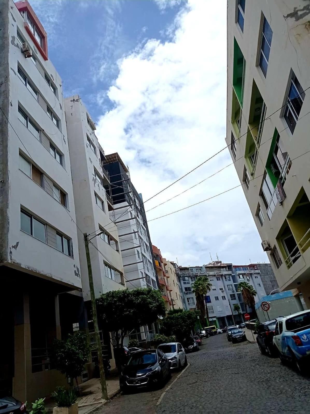 Palmalar 1