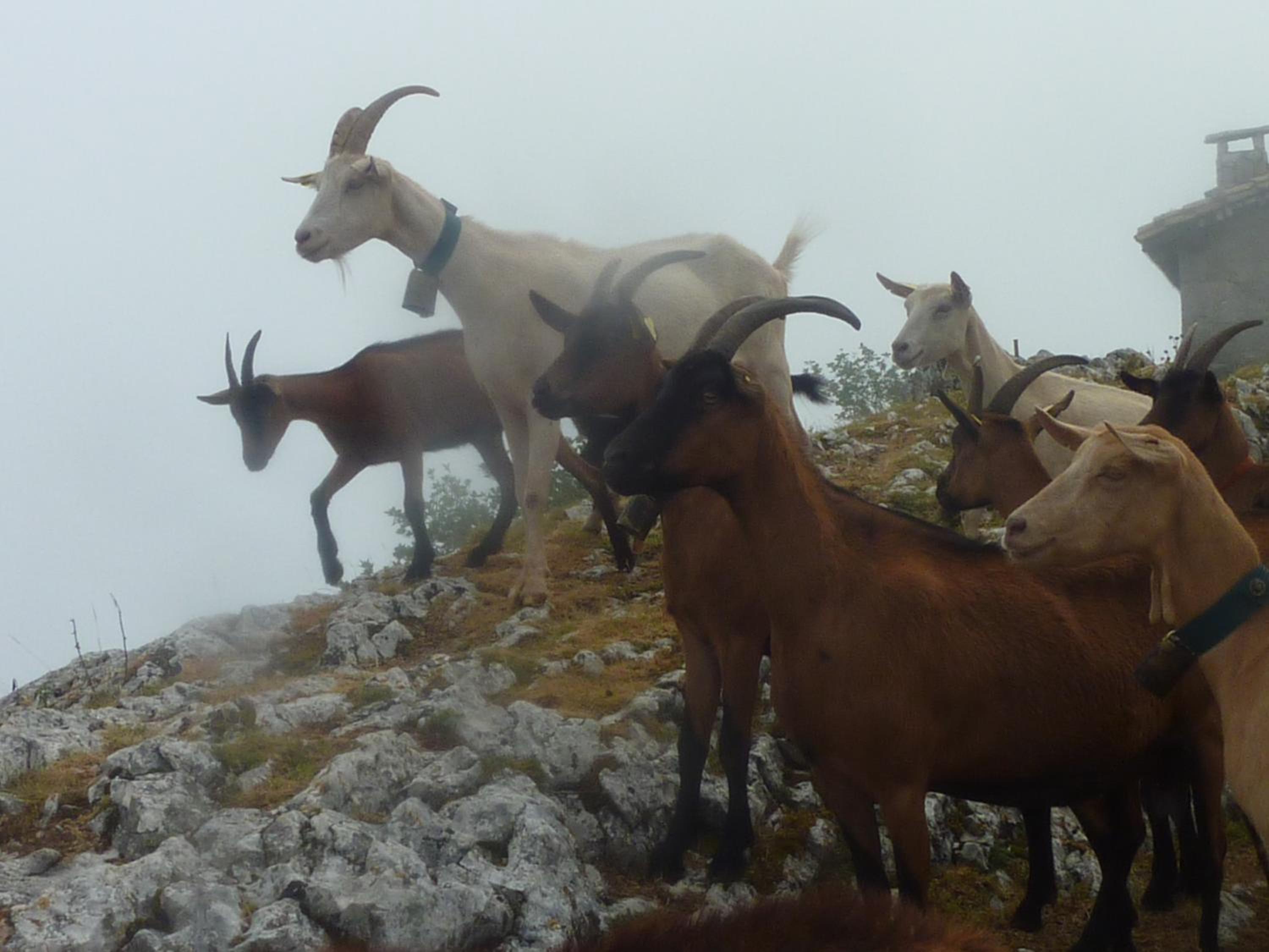 other