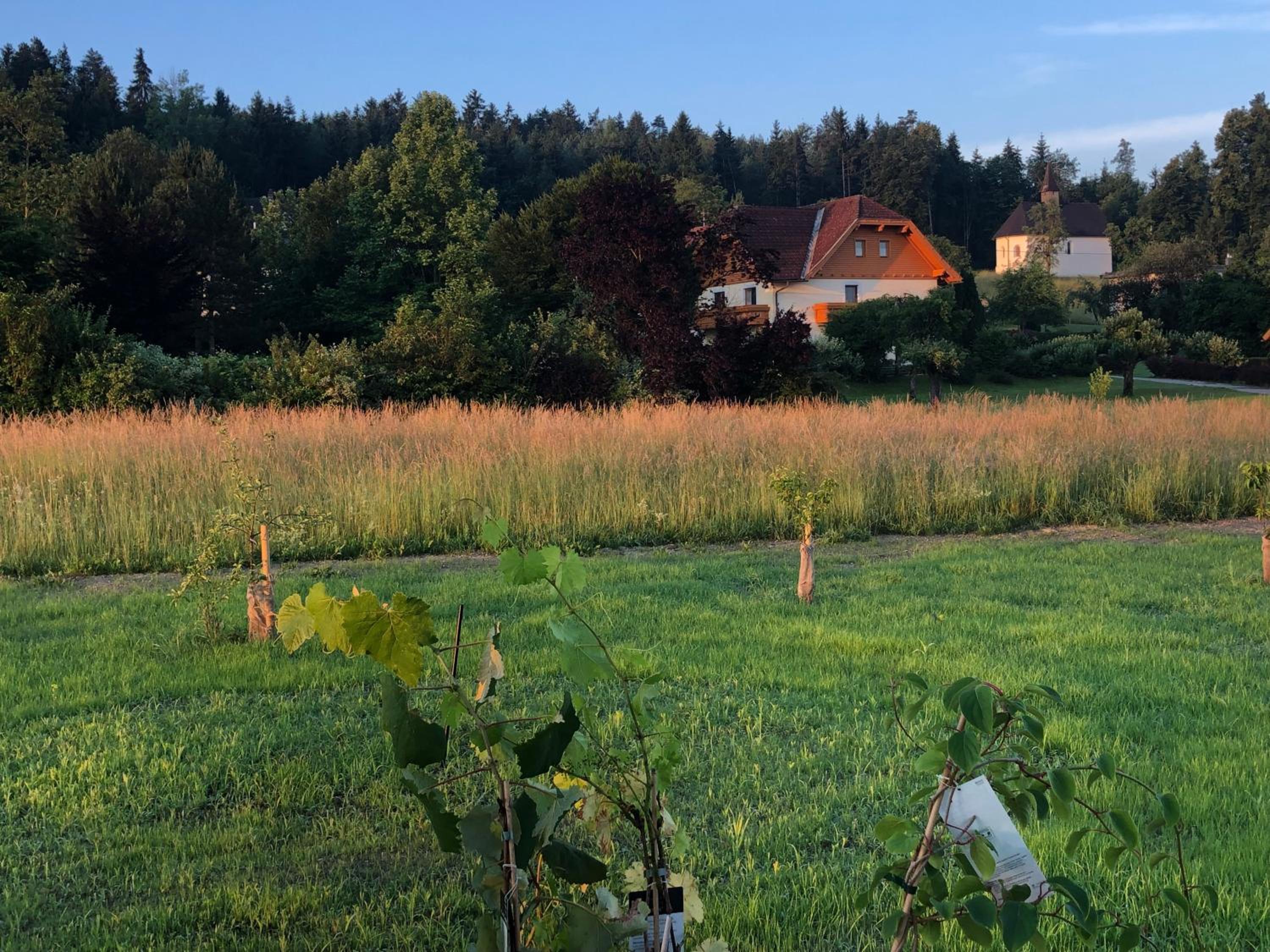 Apartment Gartenblick