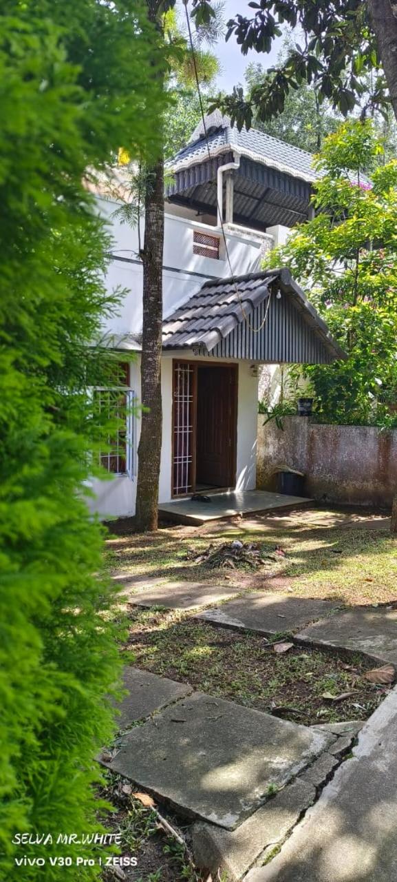 kolahalam homestay