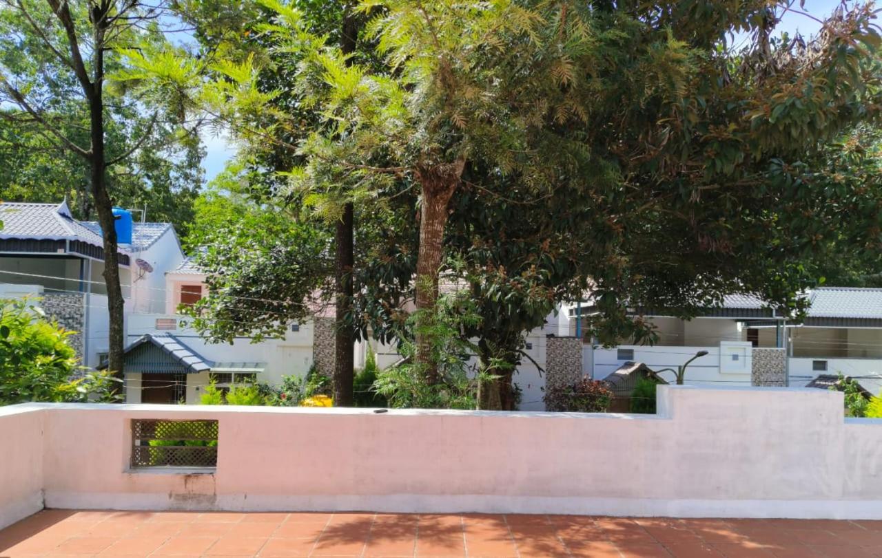 kolahalam homestay