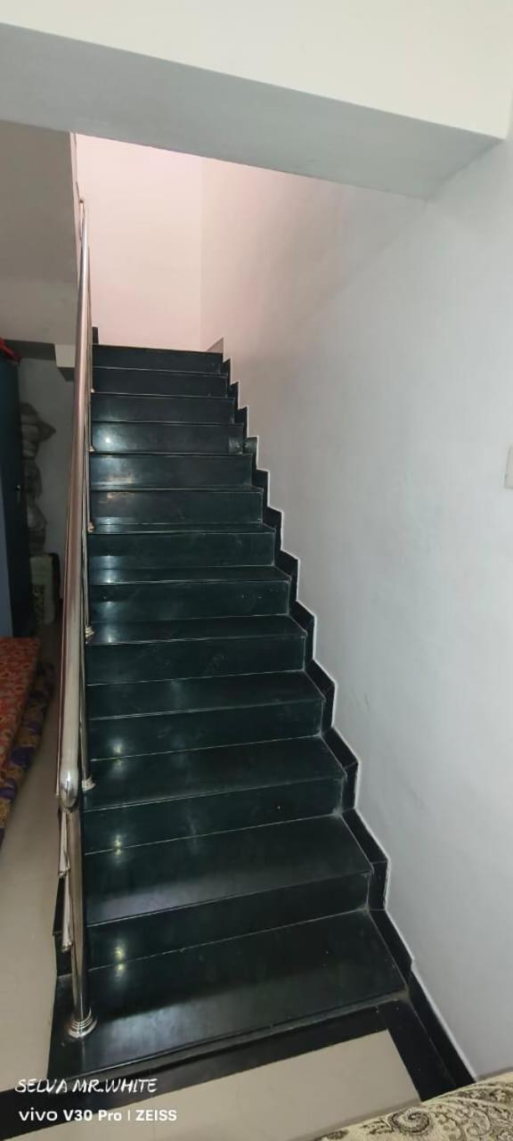 kolahalam homestay
