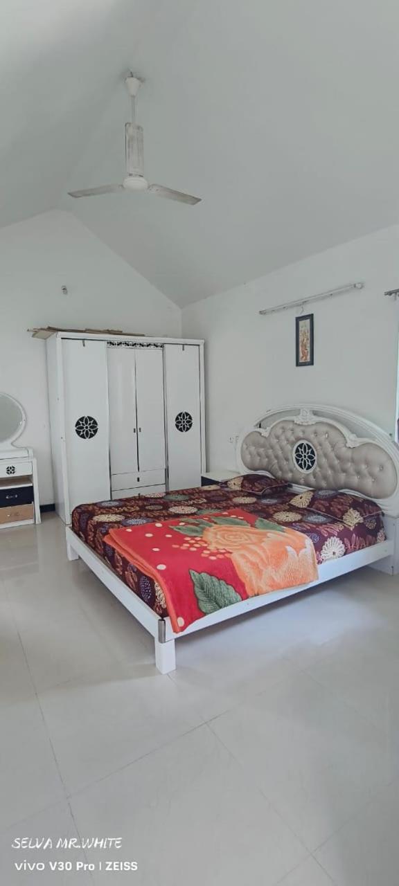 kolahalam homestay
