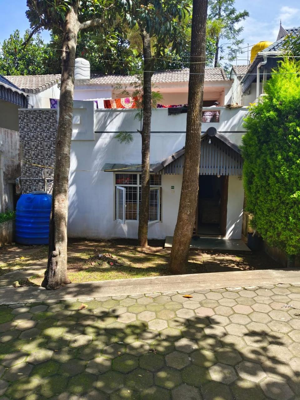 kolahalam homestay