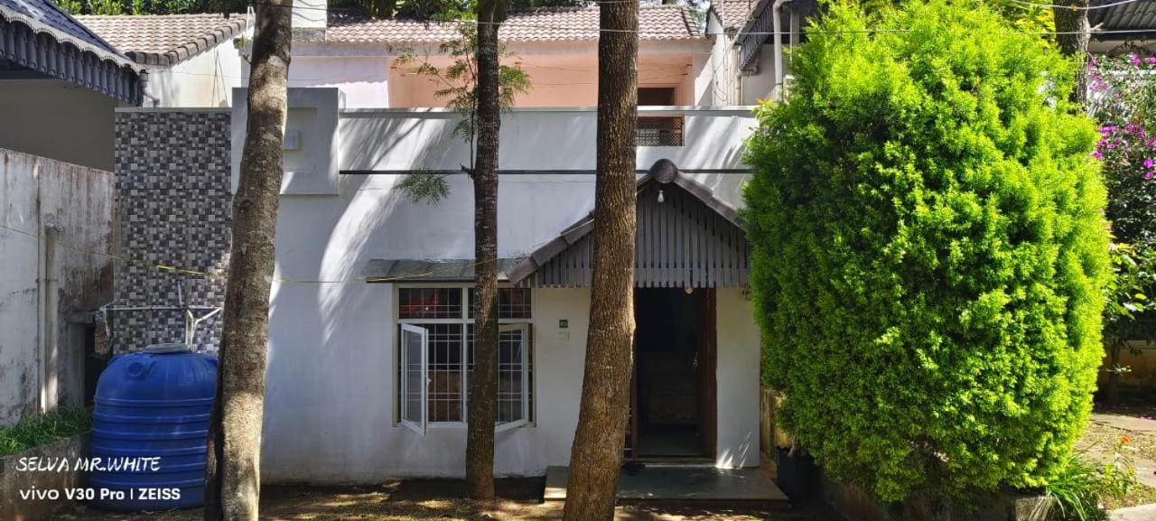 kolahalam homestay