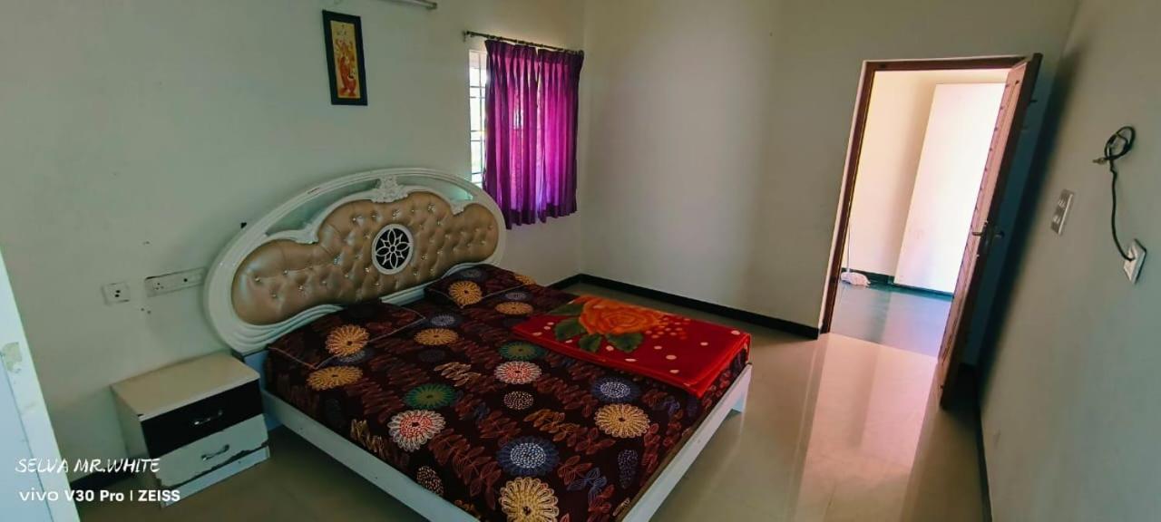 kolahalam homestay