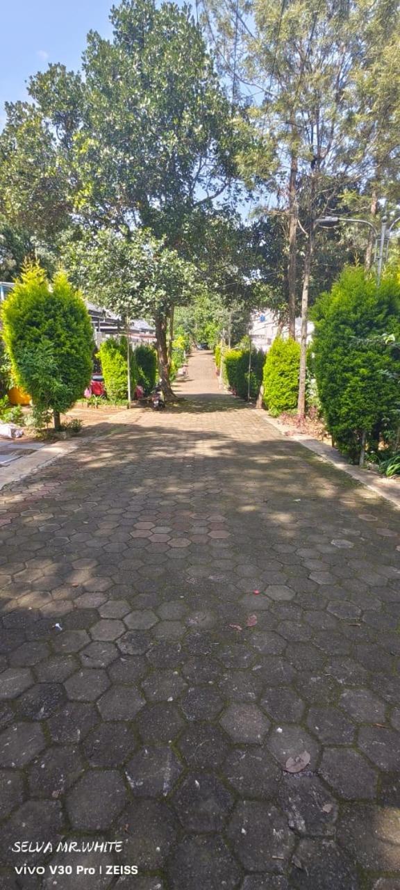 kolahalam homestay