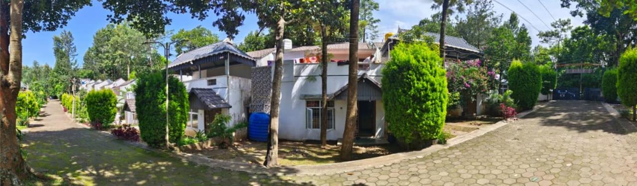 kolahalam homestay