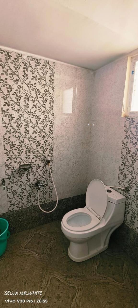 kolahalam homestay