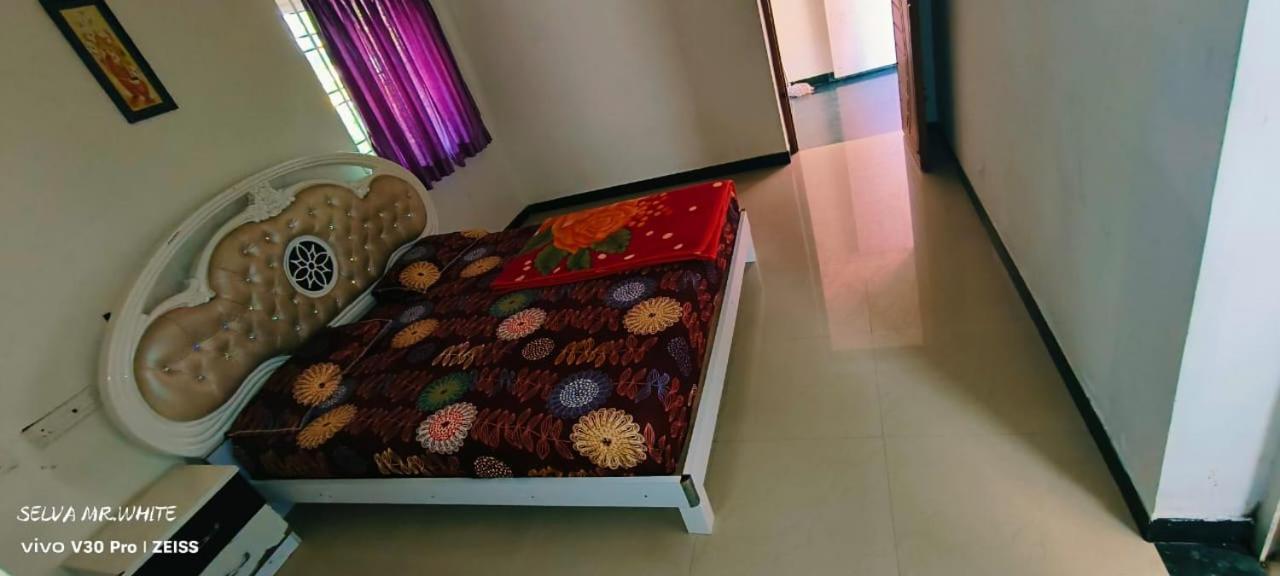 kolahalam homestay