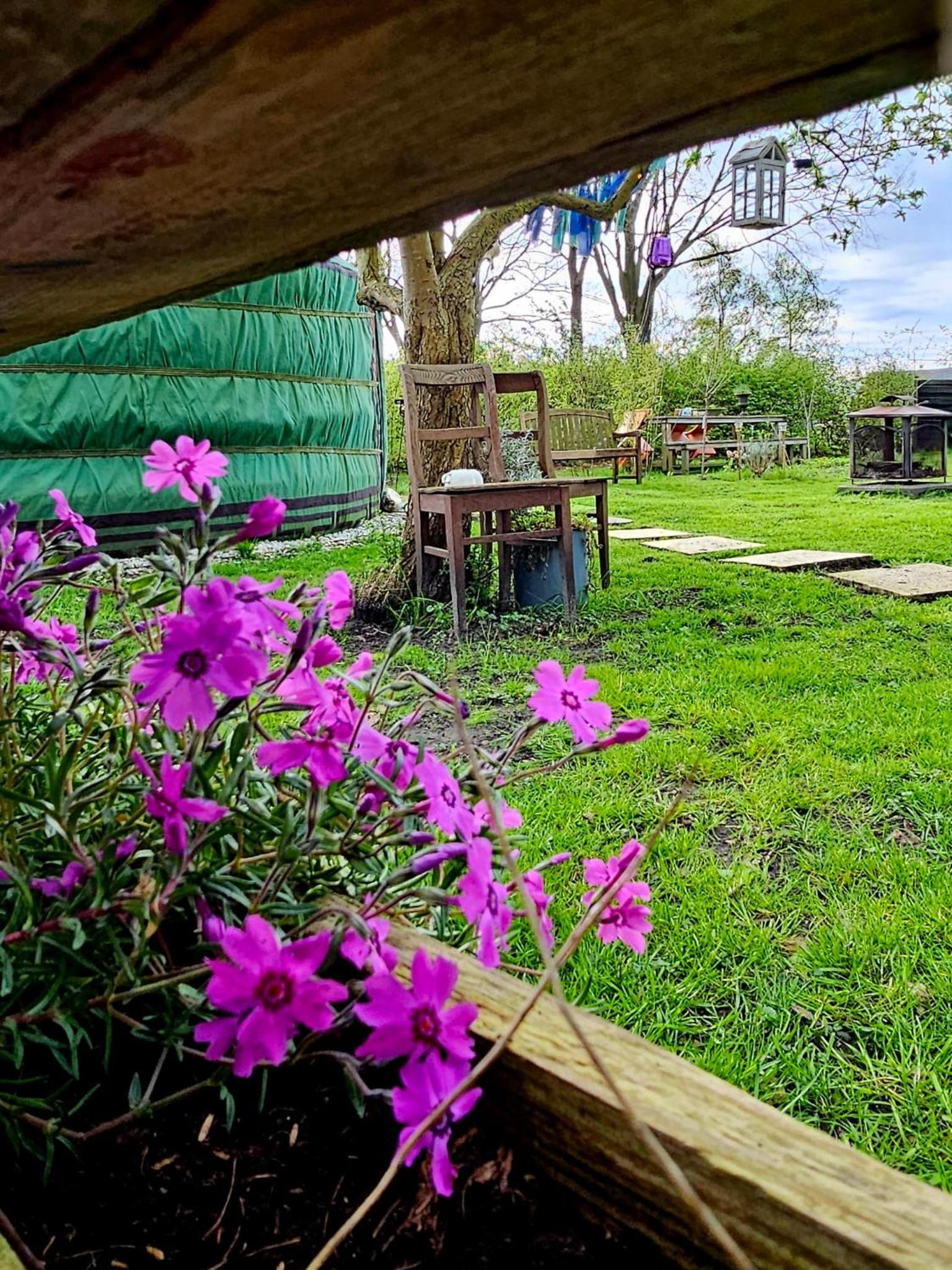 Het binnenerf yurt en keetjes view 4
