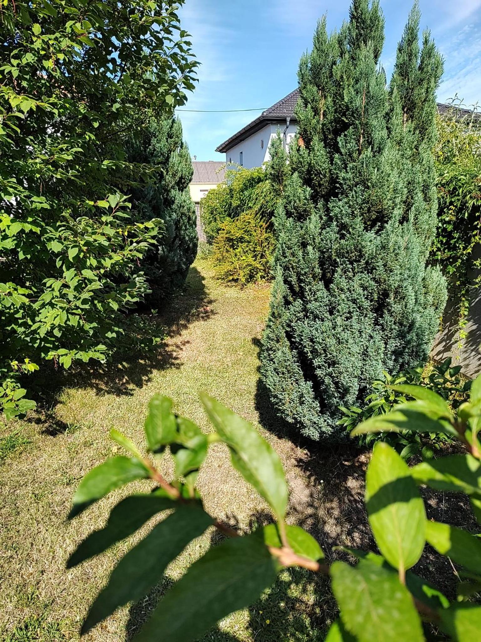 Apartment Anna - Austrian country house in Marchfeld im Weinviertel