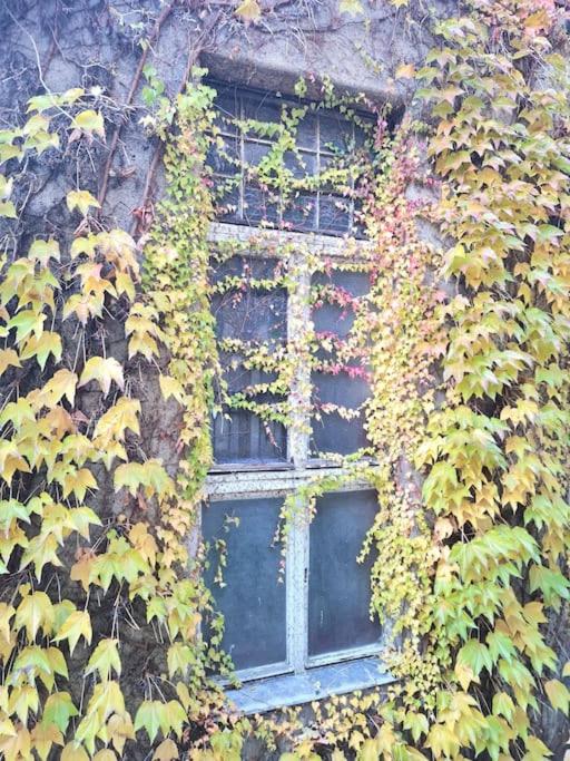 Liszt Apartment with garage available - Symphony 2 view 5