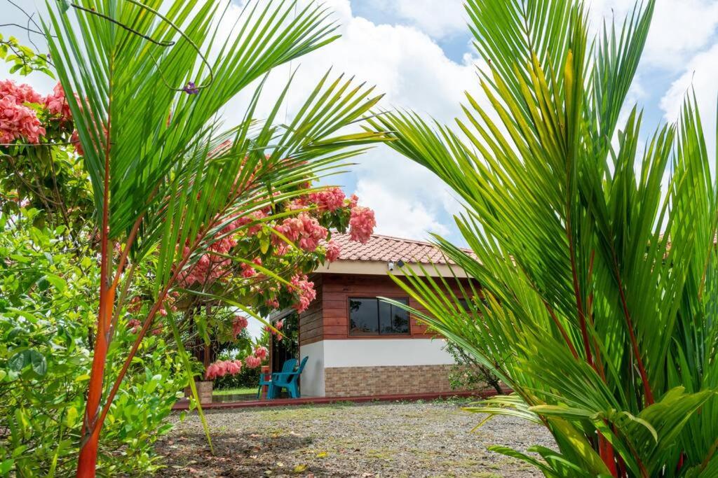 Cabaña Paraíso Arenal