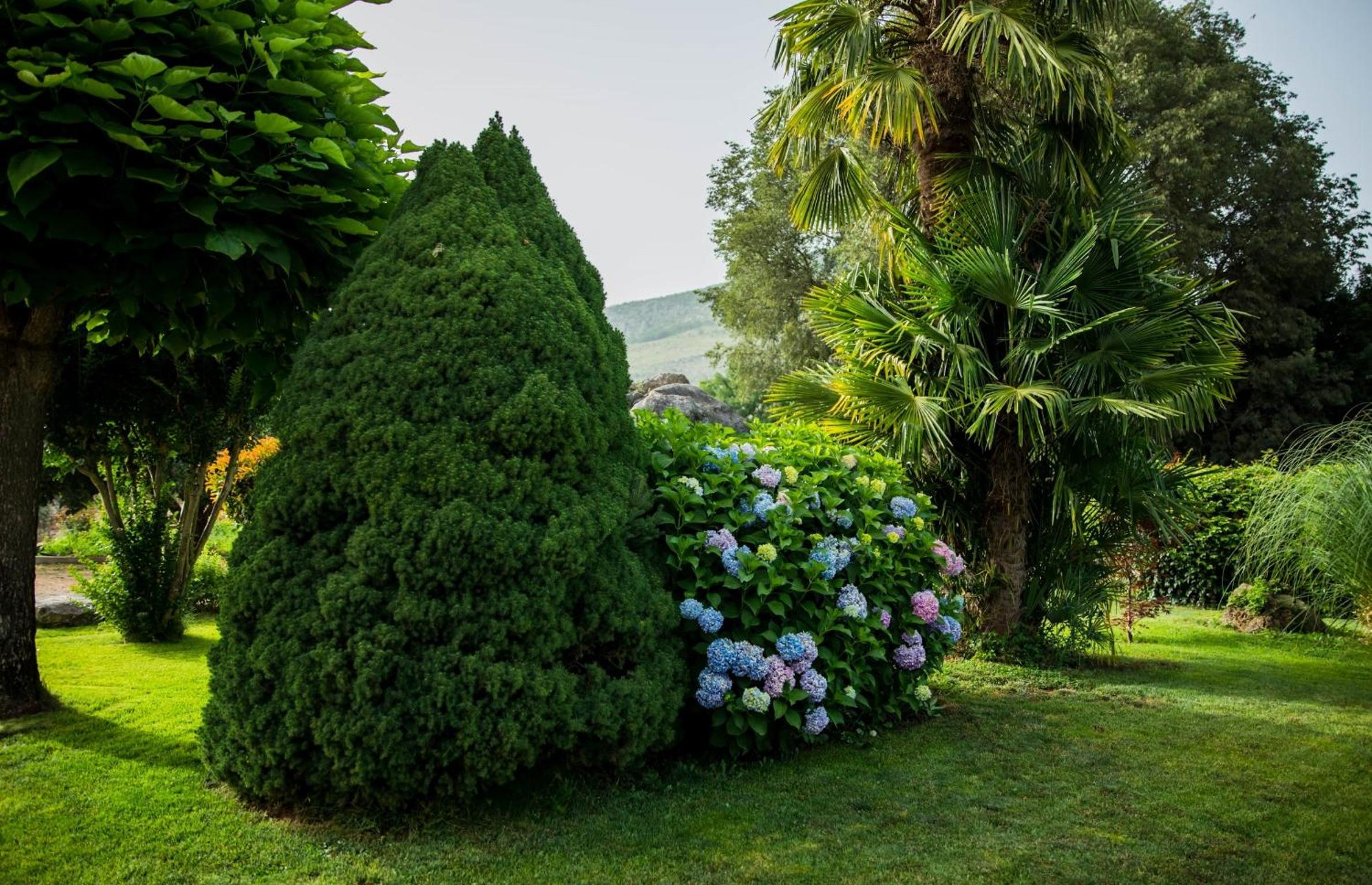 Villa Ambrić - Nature Escape