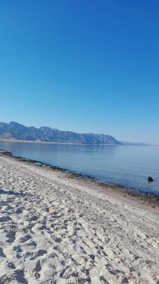 Taba Vacations - Sayal Camp - Property Image 3