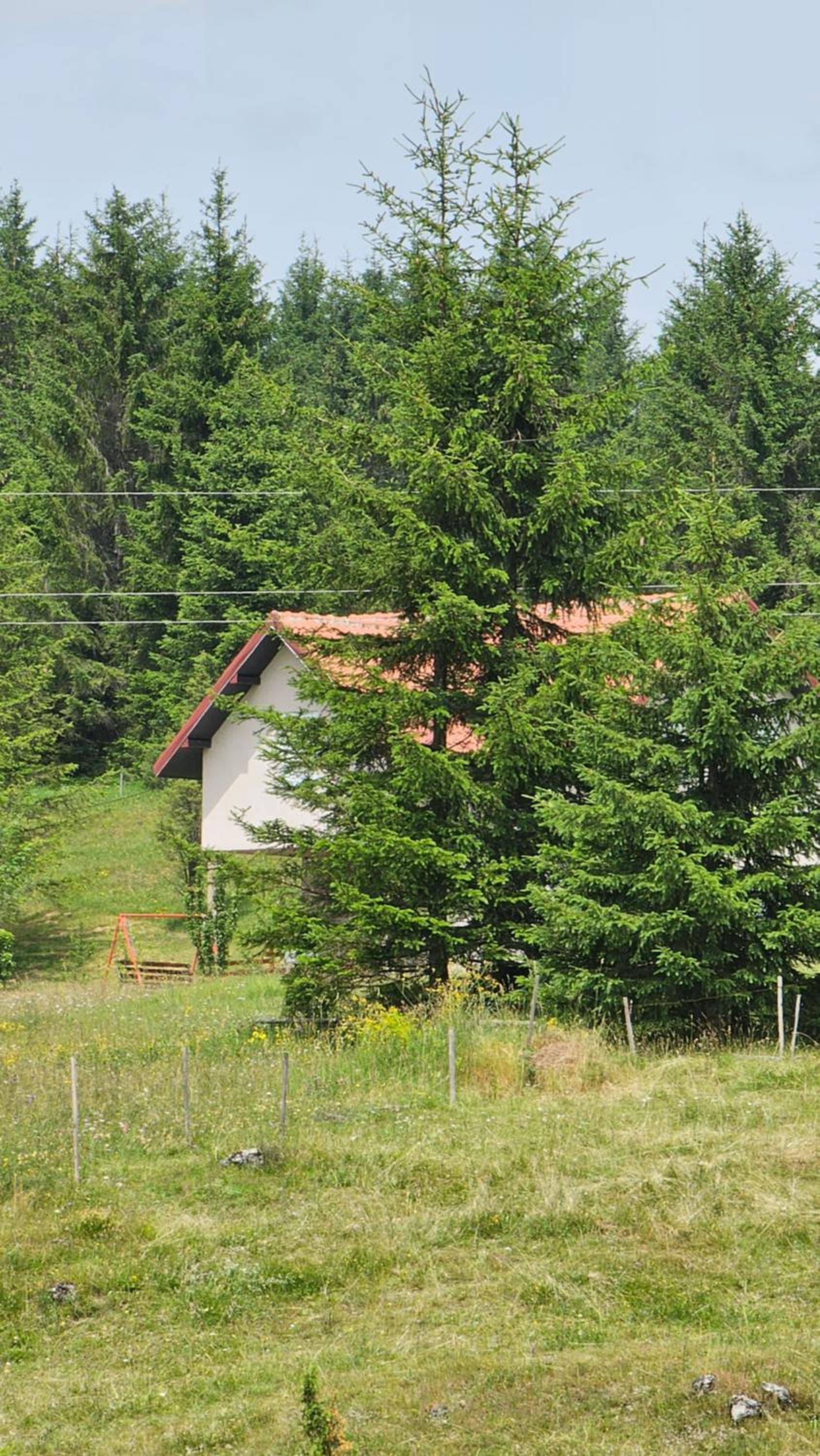 Photo 31