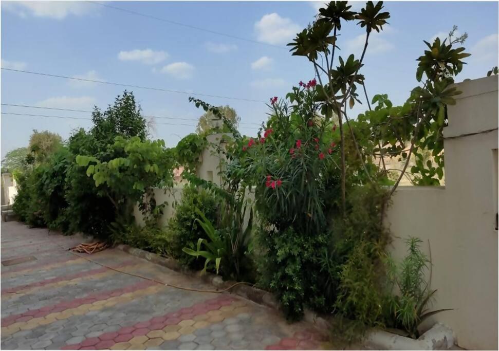 Lotus Diamerisma - 2BHK Furnished Apartment in Jodhpur - Peaceful Retreat Away from City Traffic view 2