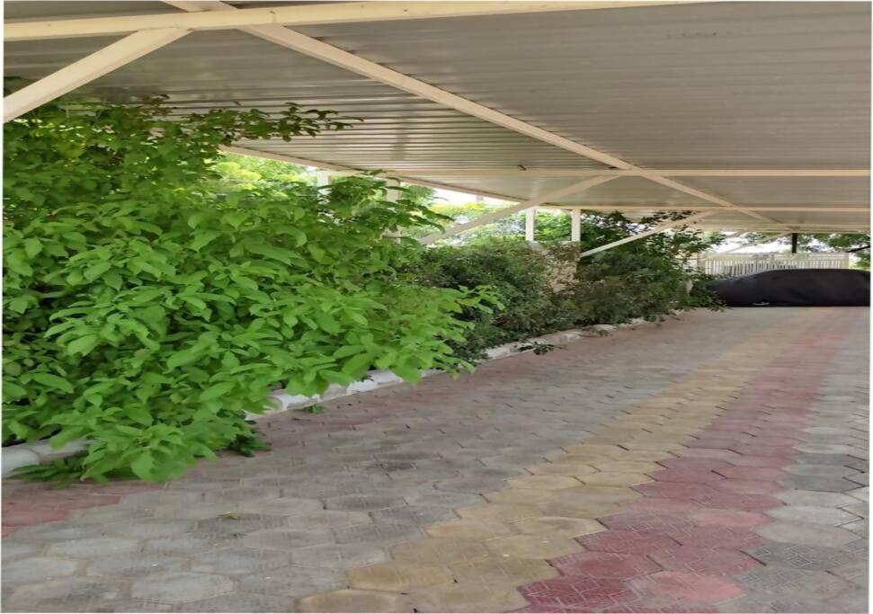 Lotus Diamerisma - 2BHK Furnished Apartment in Jodhpur - Peaceful Retreat Away from City Traffic view 4