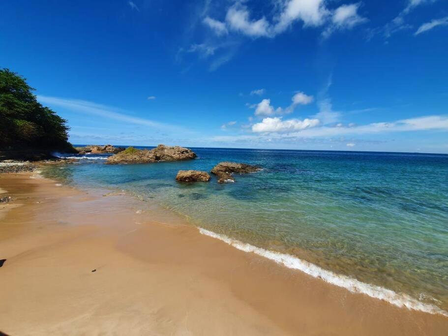 Apartamento de Luxo com acesso exclusivo à Praia