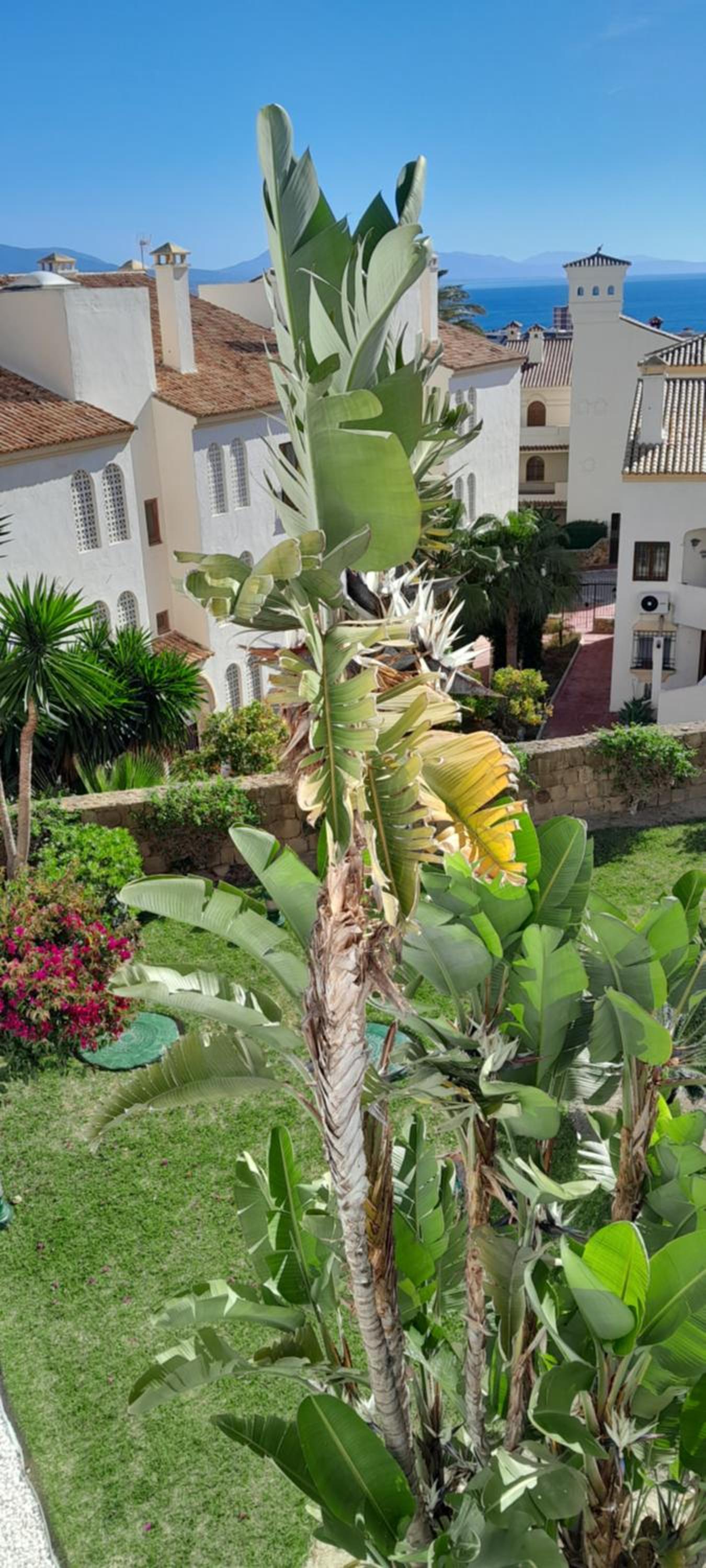 Appartment Urbanizacion Duquesa Suites Golf and Garden Beautiful View
