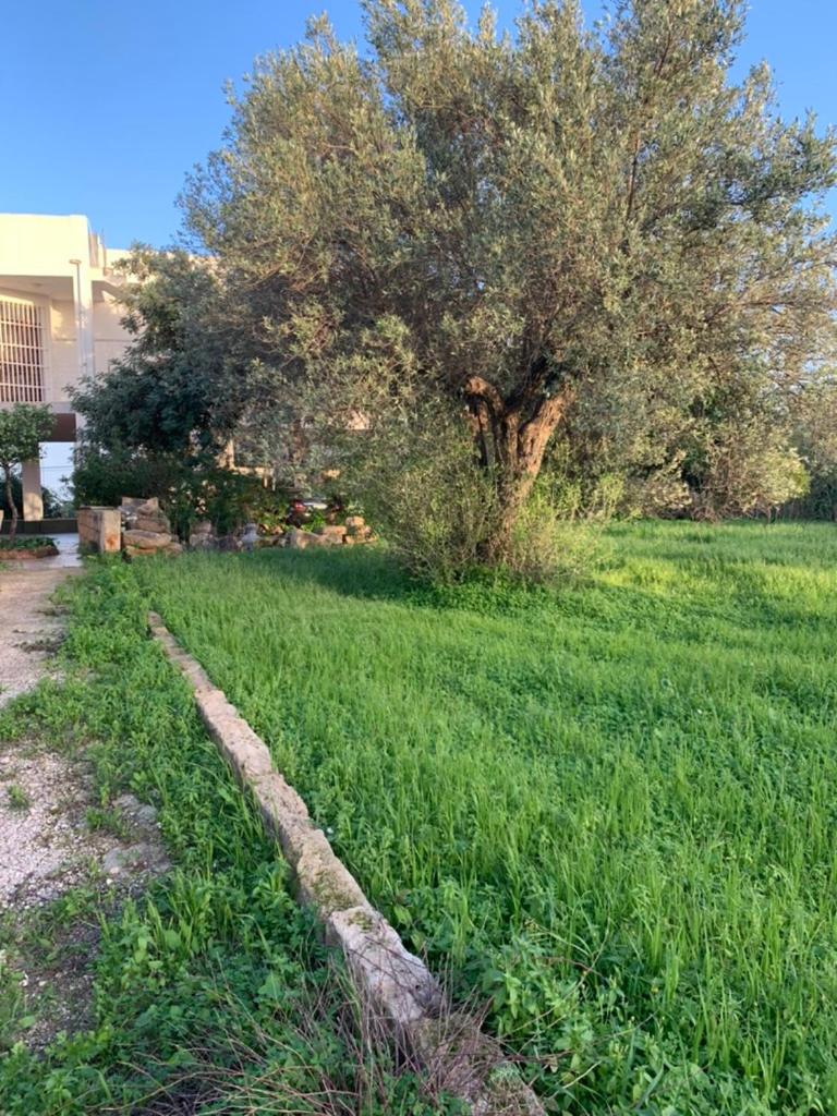 Marzamemi rooms