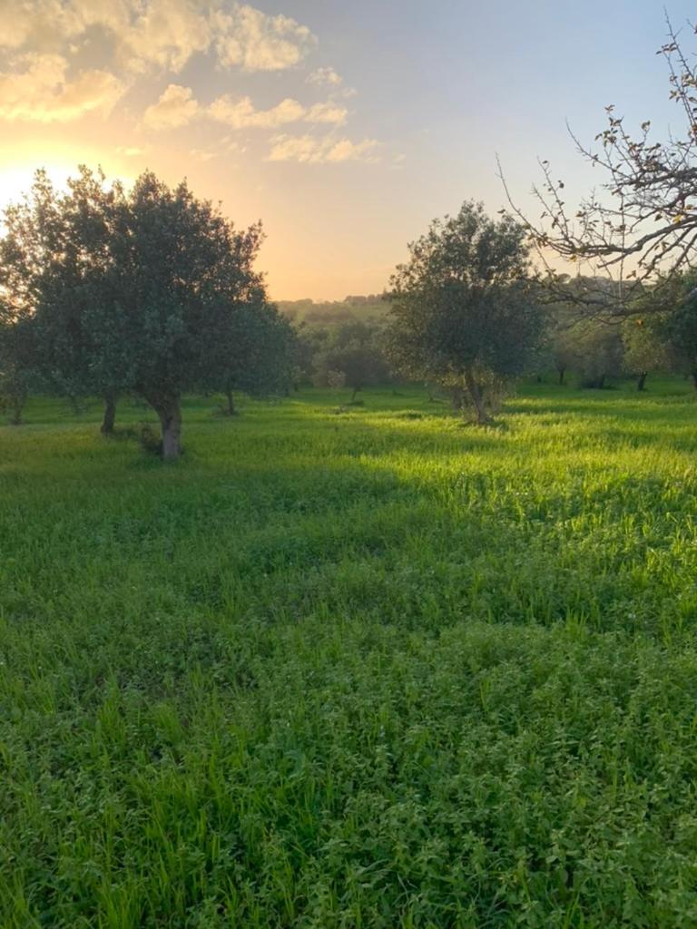 Marzamemi rooms