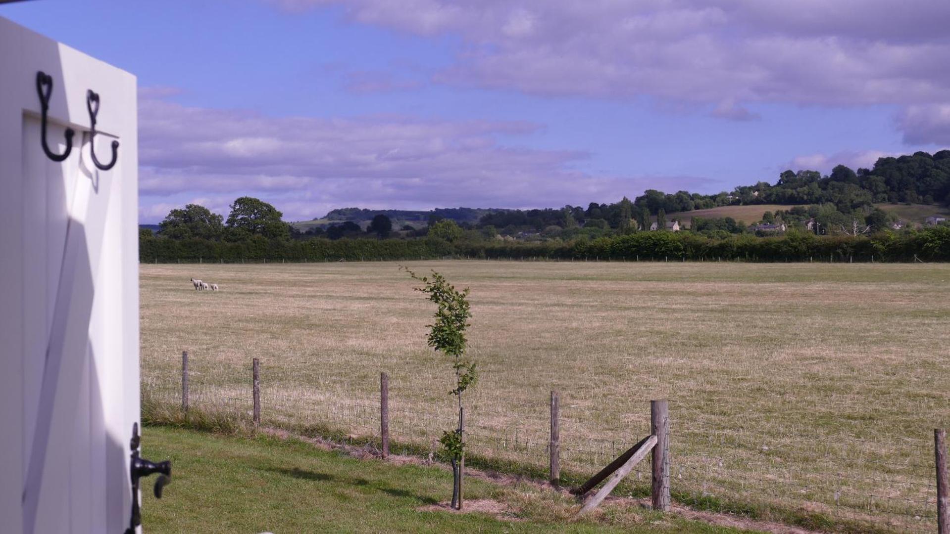 Elms Farm view 3